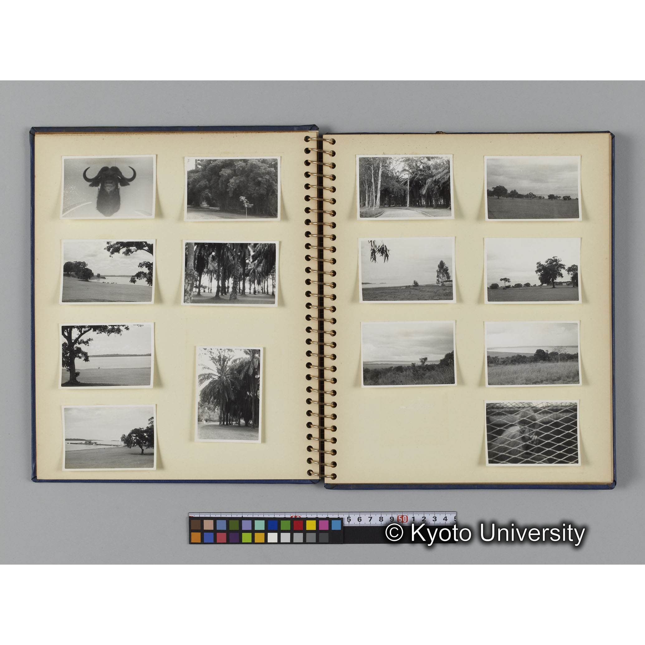 [見開き４]「エンテベ」 (1)