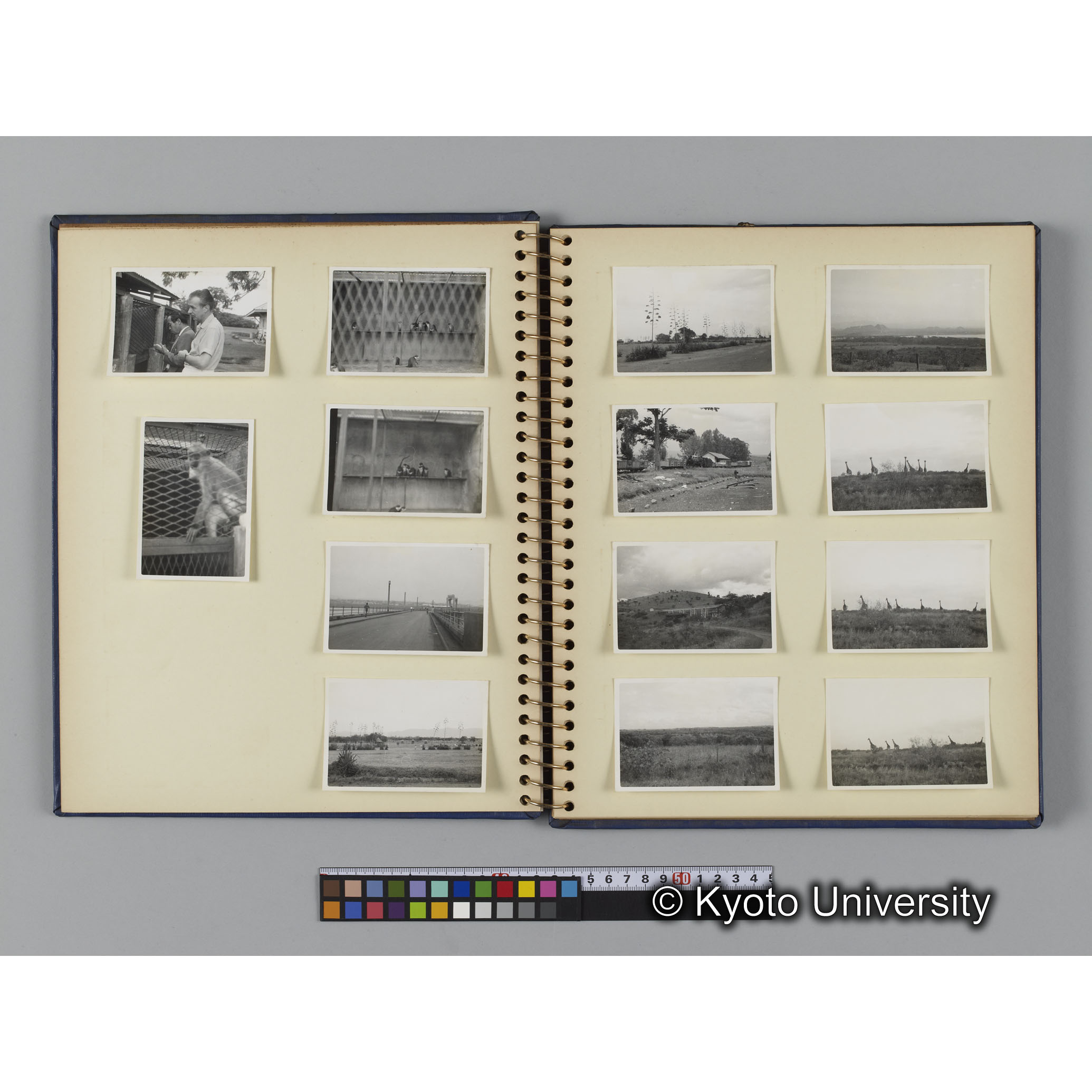 [見開き５]「帰路の風景」 (1)