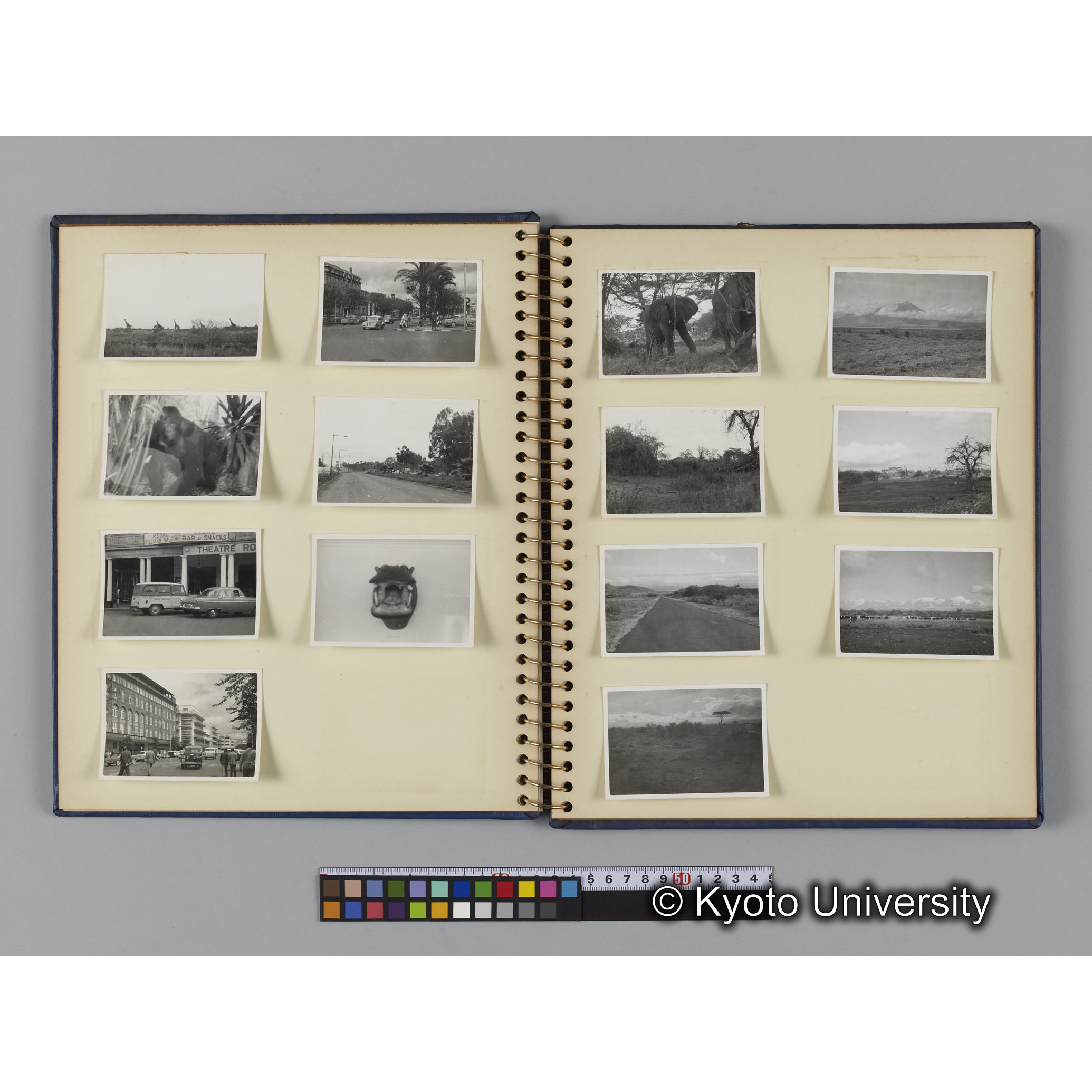 [見開き６]「ナイロビ」 (1)