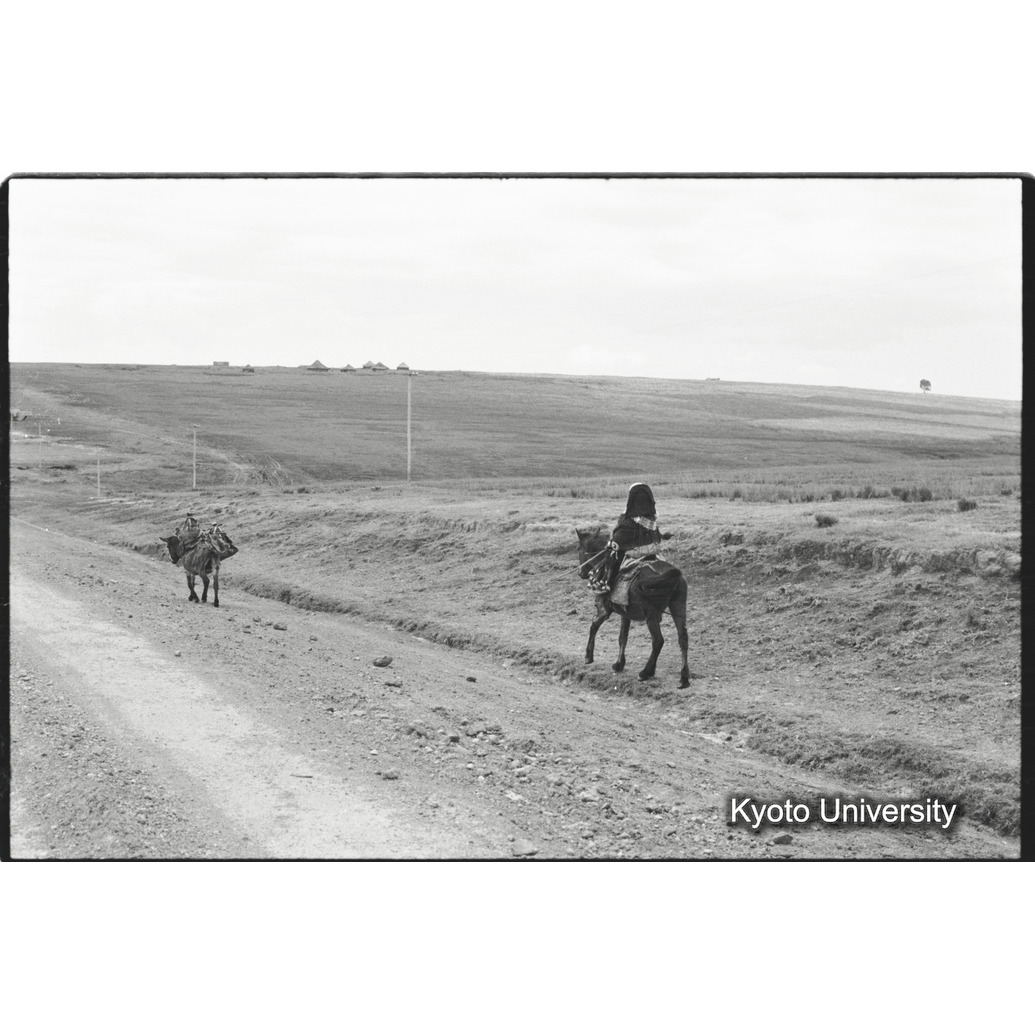 [２０コマ目]「乗馬のシダモ女性（４）」 (1)