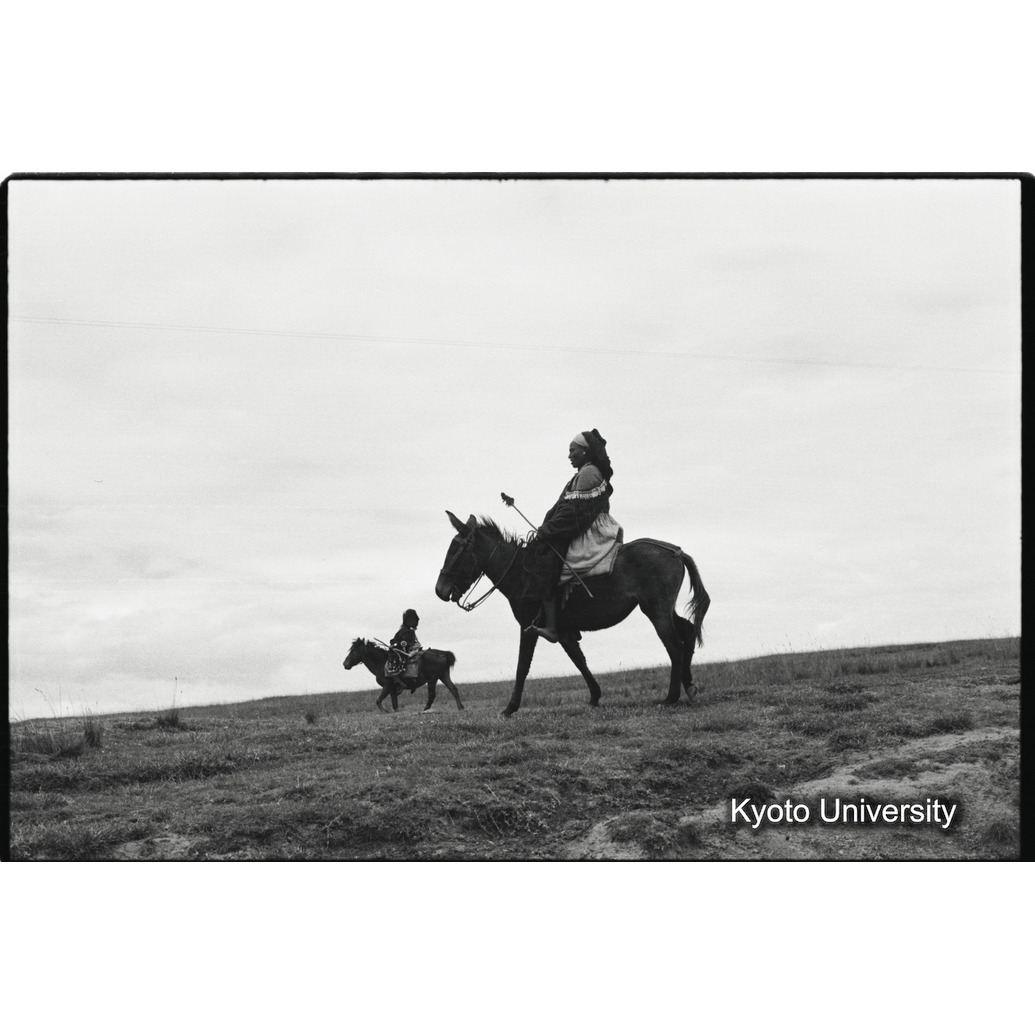 [２１コマ目]「乗馬のシダモ女性（５）」 (1)