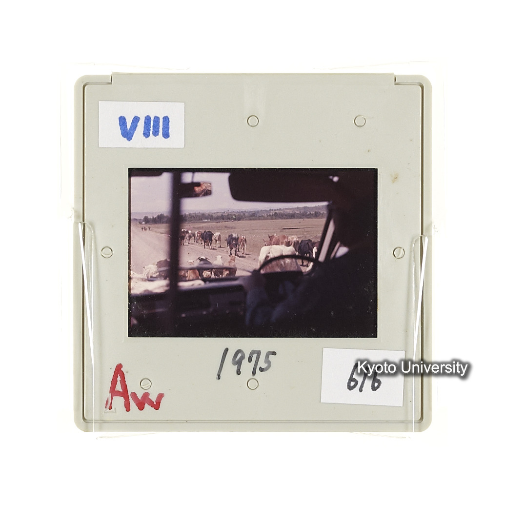 Aw　1975　616 (2)