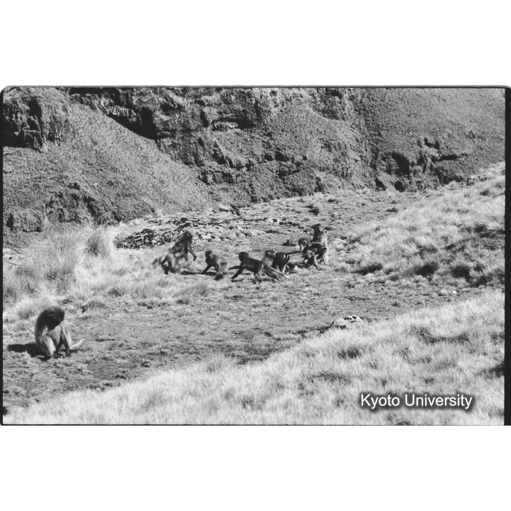 [２９コマ目]「コドモグループ（９）」 (1)