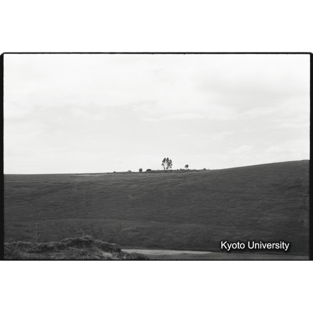 [３１コマ目]「×」 (1)