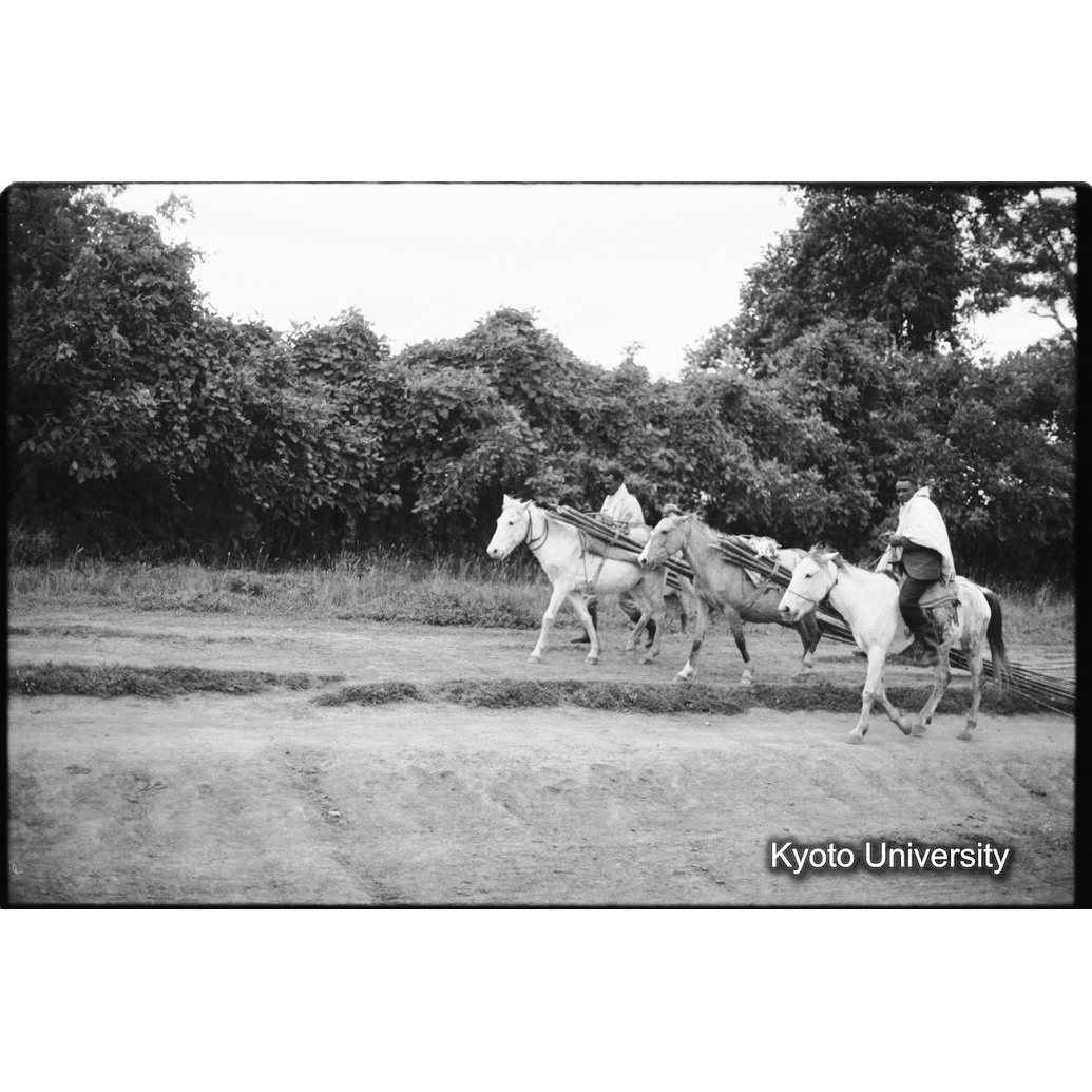 [３４コマ目]「木材を運ぶ」 (1)