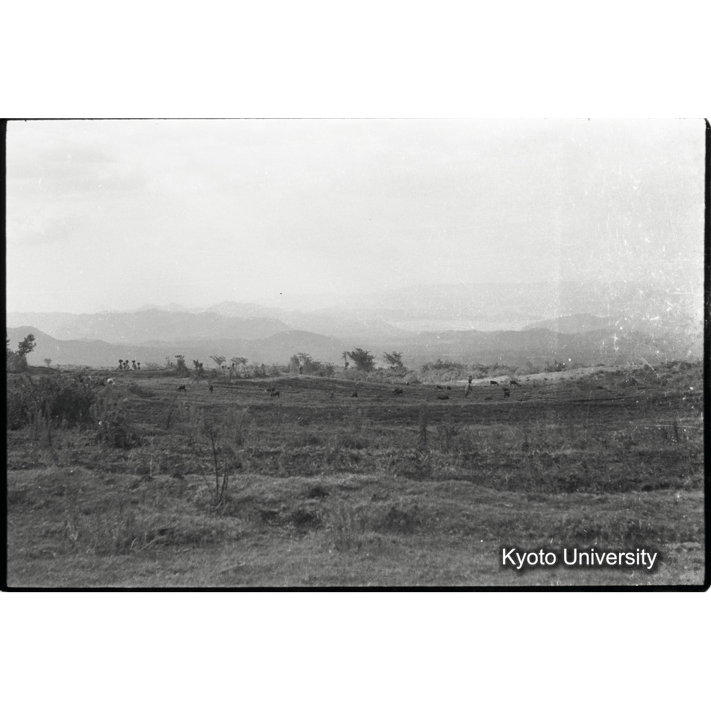 [18コマ目]「耕地」 (1)