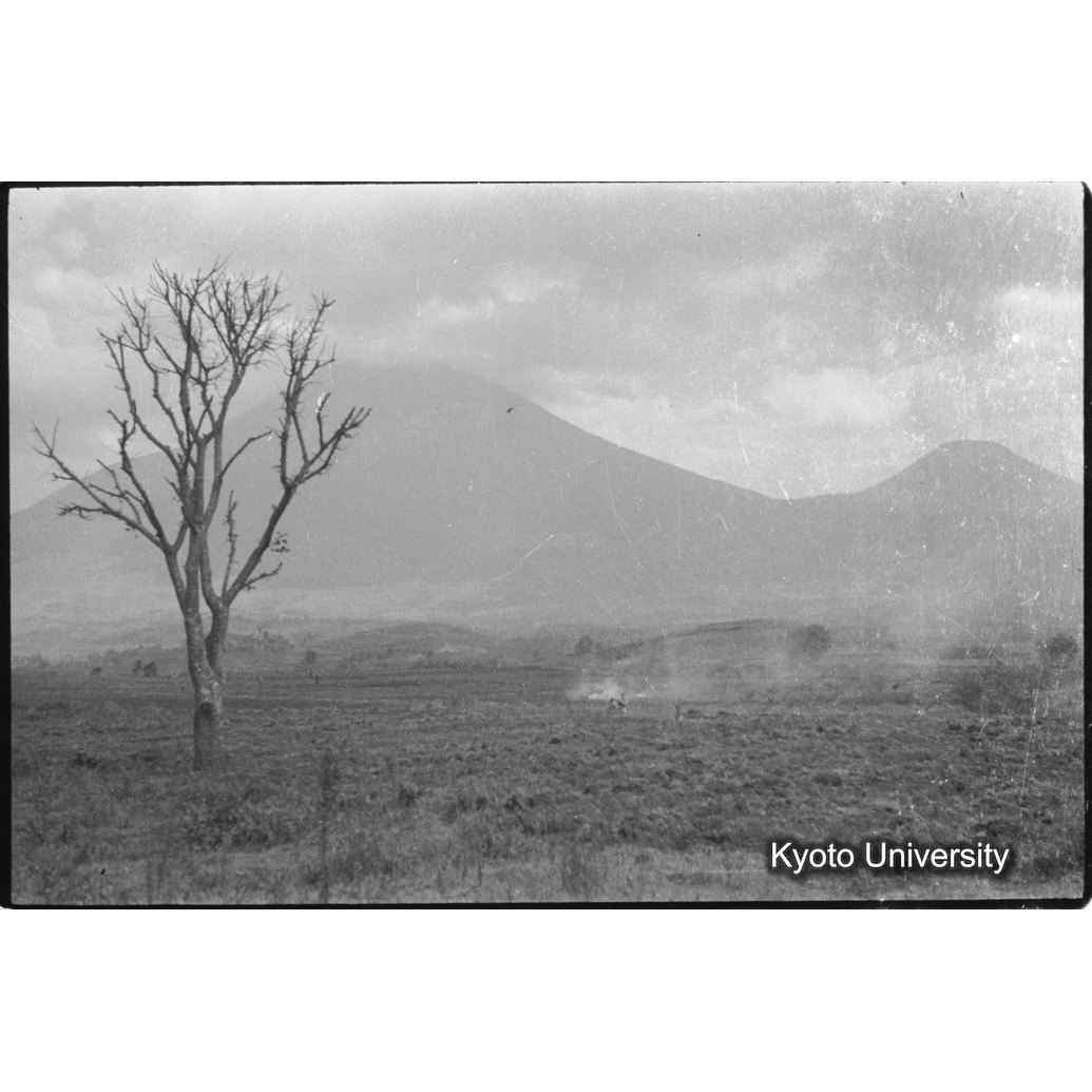 [30コマ目]「ムハブラとムガヒンガ」 (1)