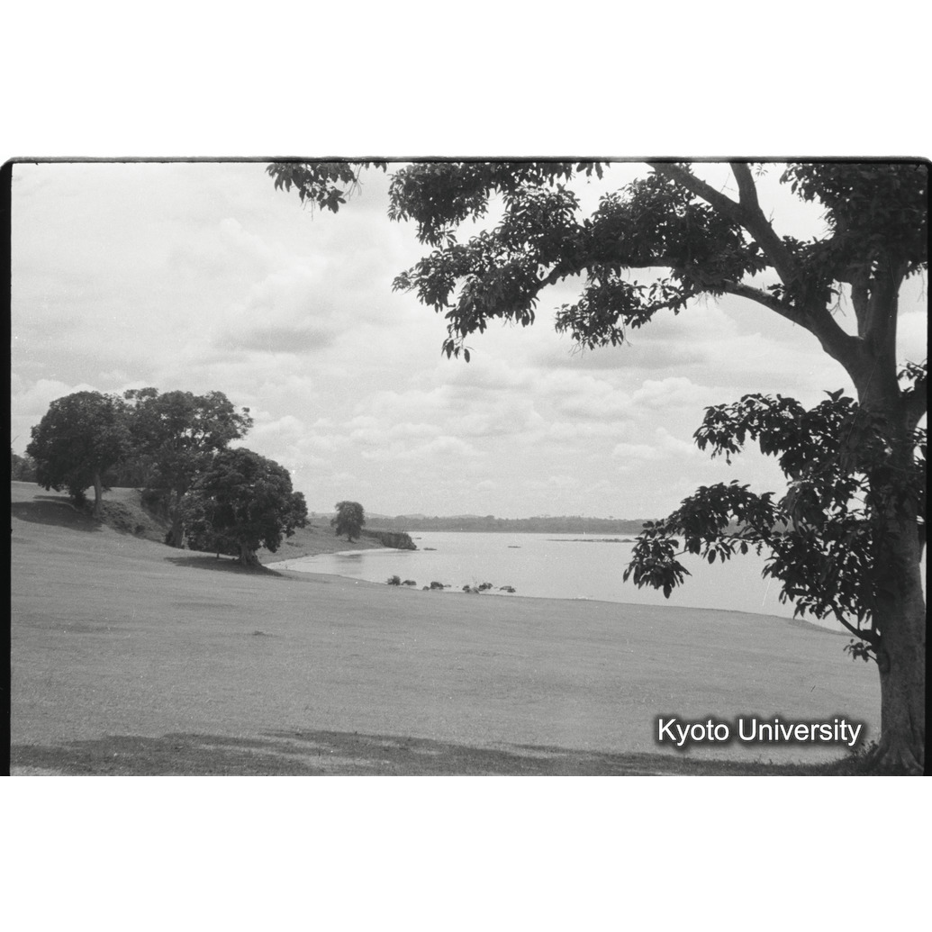 [3コマ目]「エドワード湖畔のハゲコウ（１）」 (1)