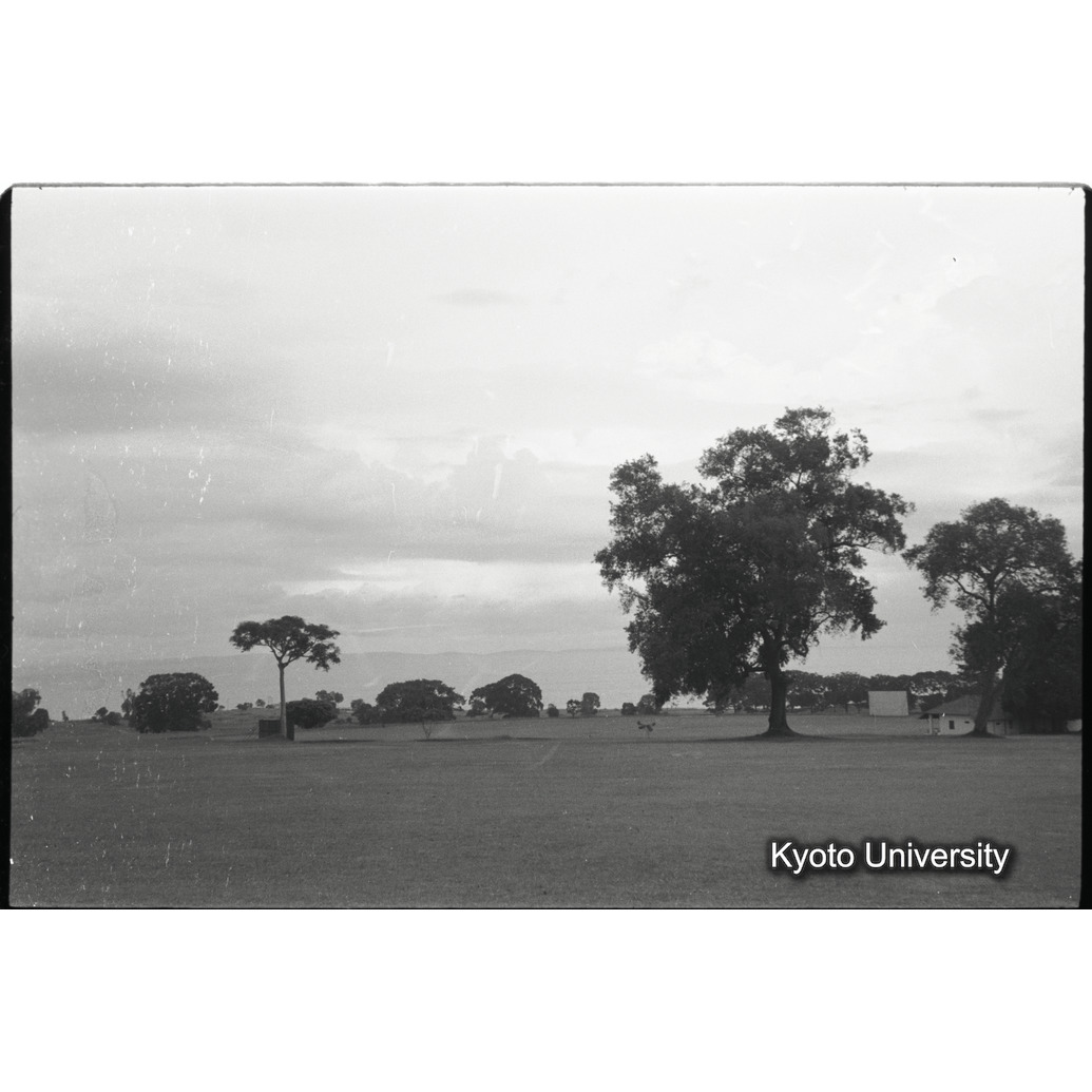 [14コマ目]「エドワード湖畔の公園（２）」 (1)