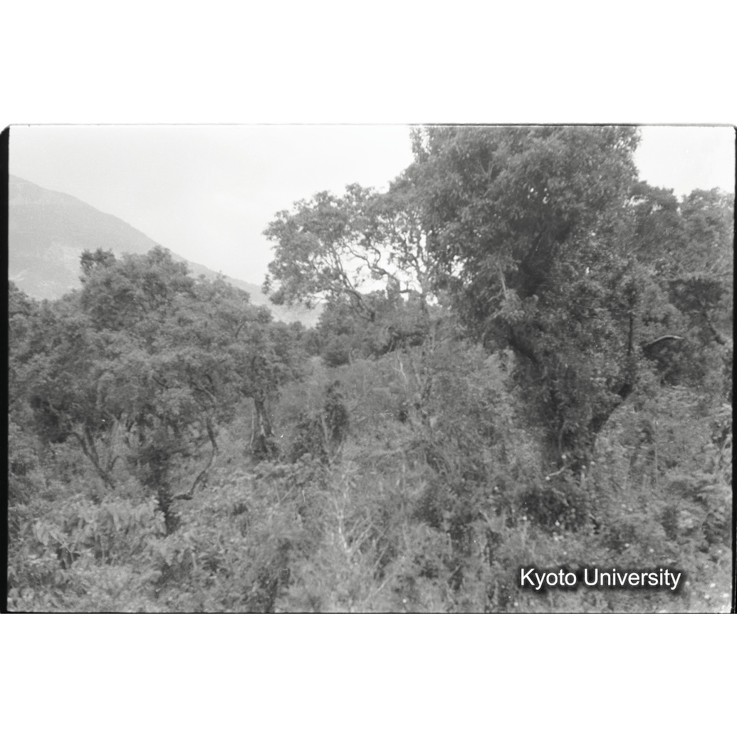 [24コマ目]「×」 (1)