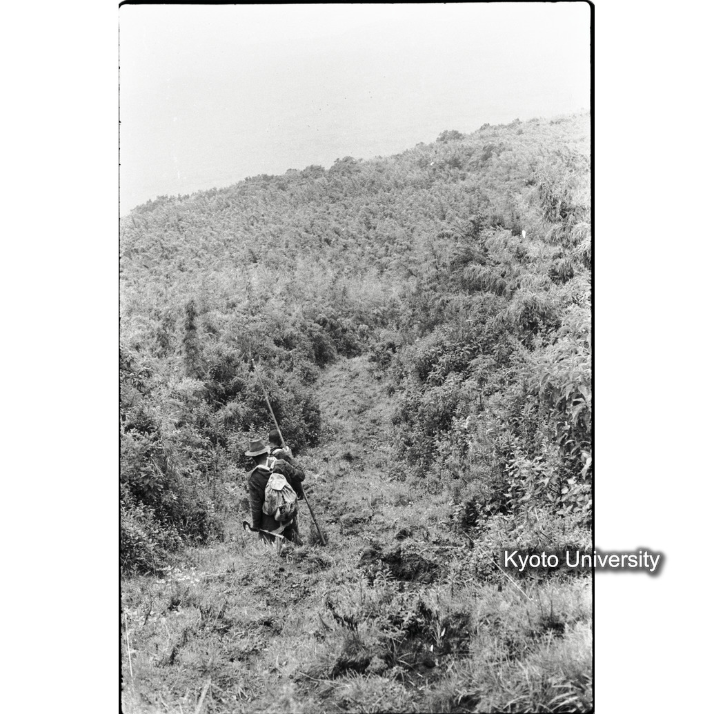 [19コマ目]「フォレストライン」 (1)