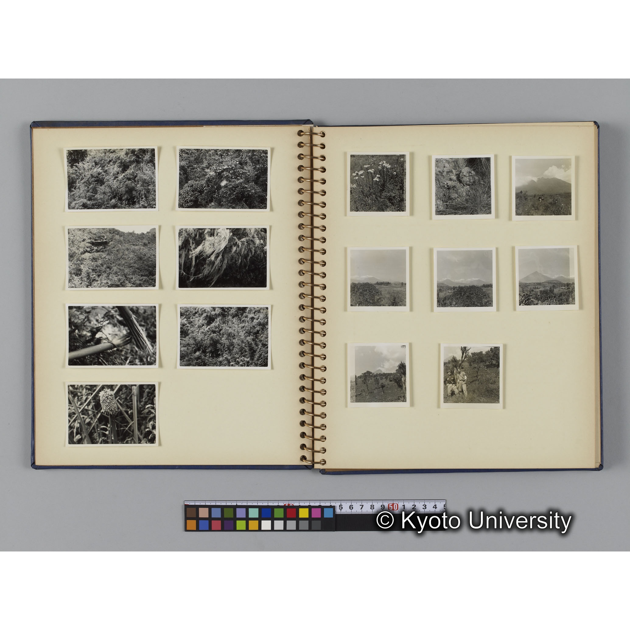 [見開き２]「ムハブラでの調査」 (1)