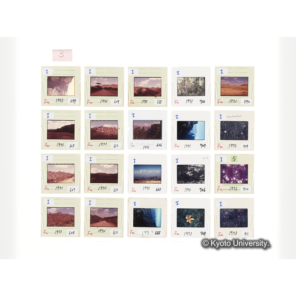 [スライドシート] 3 (1)