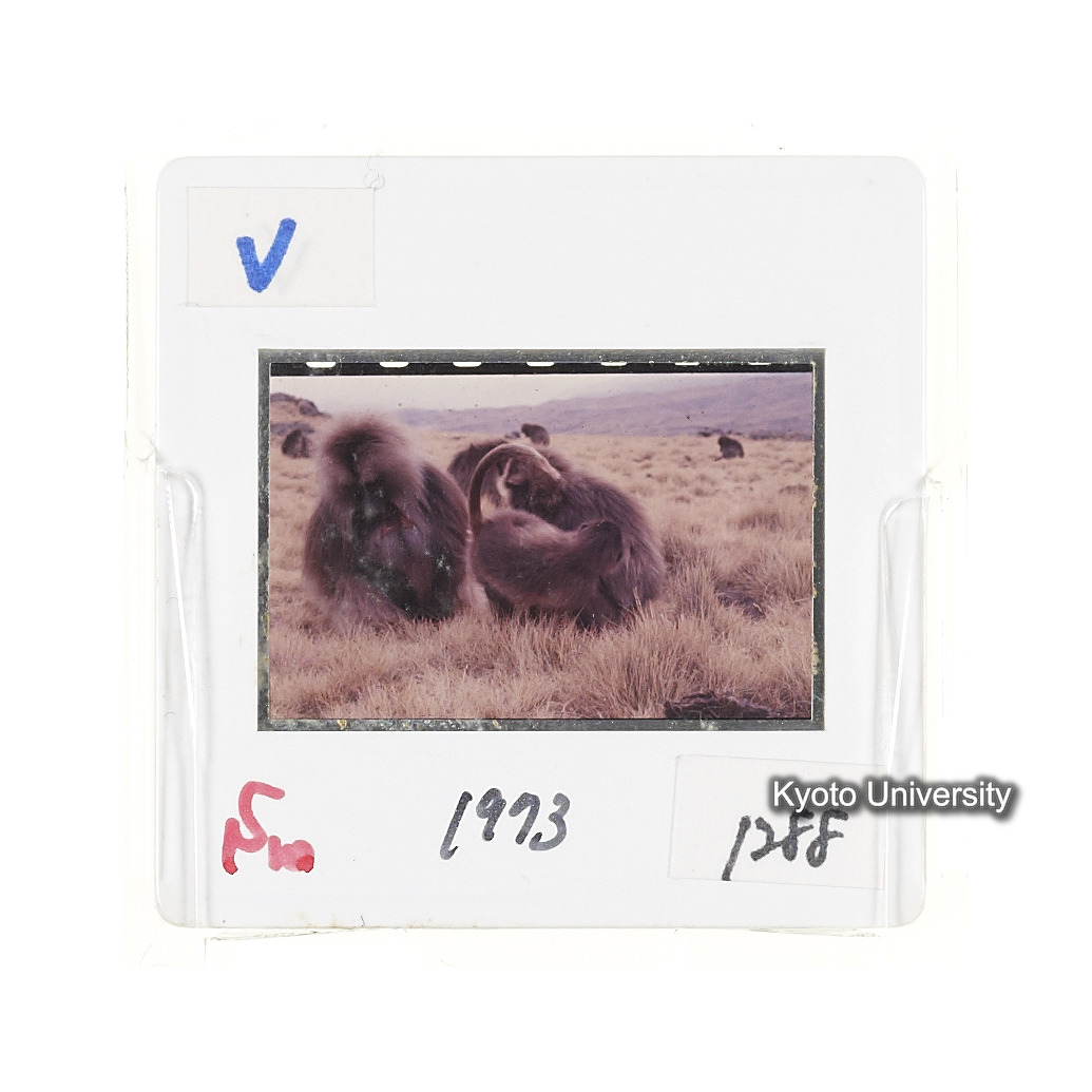 Sm　1973　1288 (2)