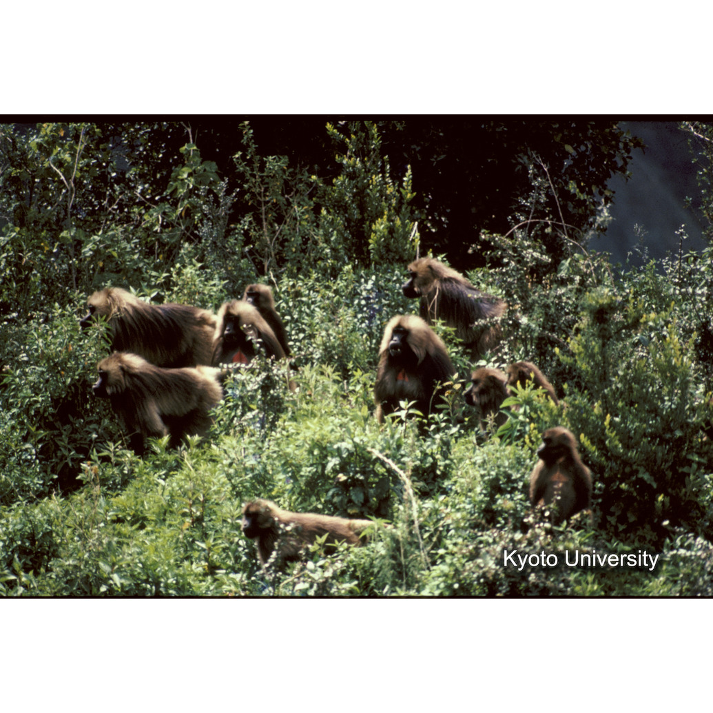 Sm　1973　14　（N）[赤色, 丸囲み] (1)