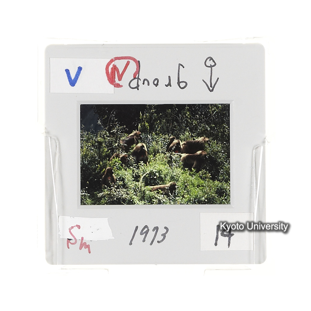 Sm　1973　14　（N）[赤色, 丸囲み] (2)