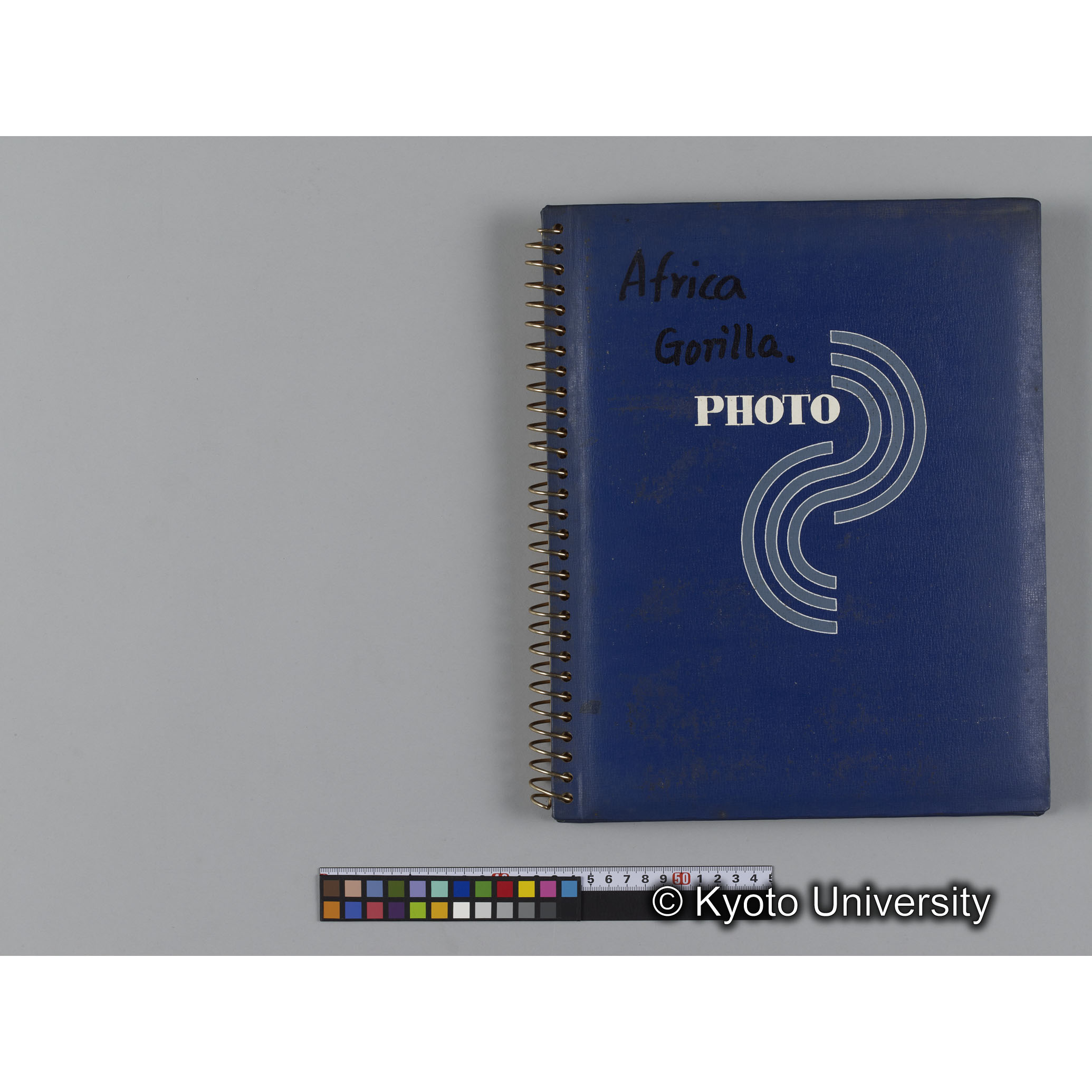 ゴリラ探検写真アルバム５「ムハブラ，ムガヒンガ調査」（紙焼き） (1)