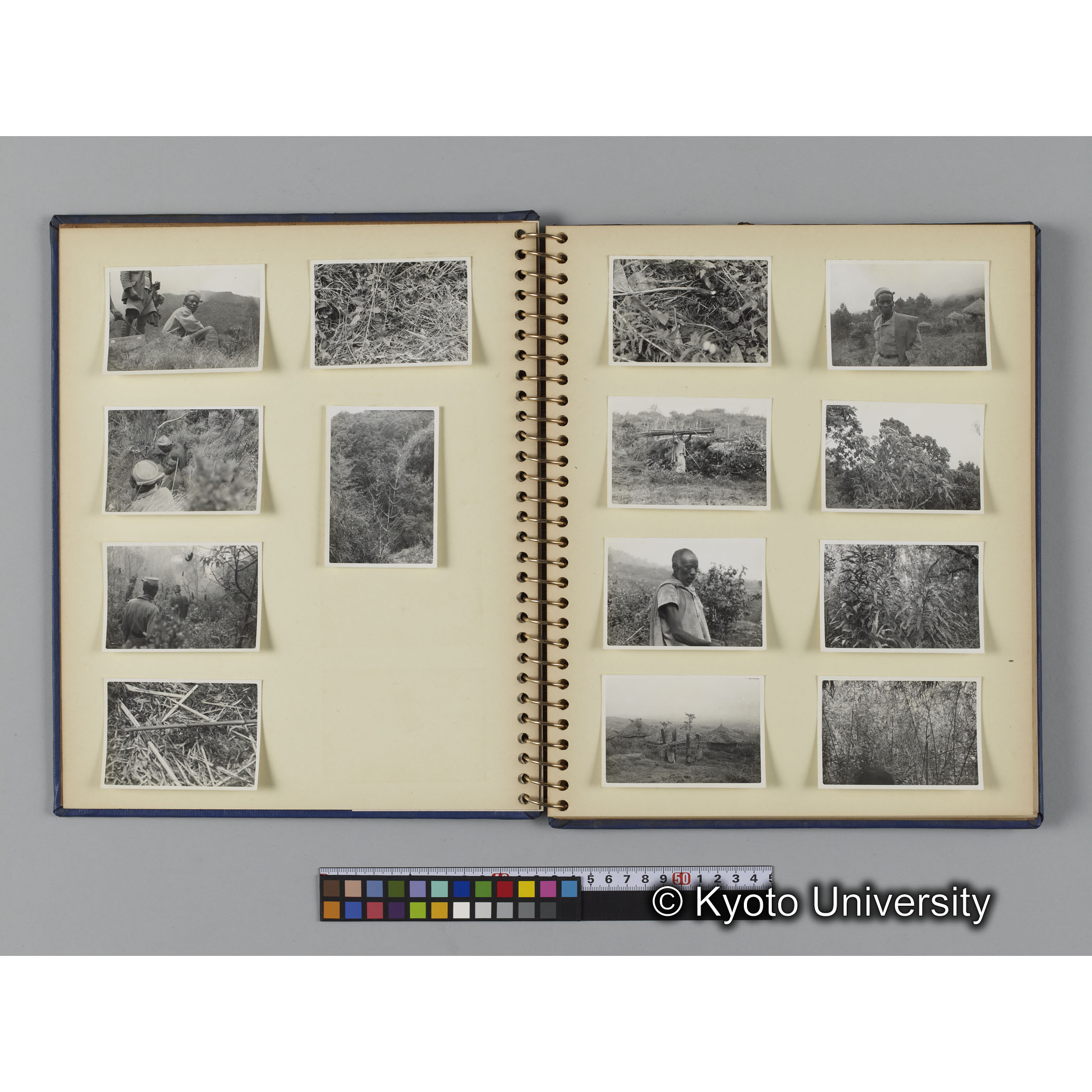 ゴリラ探検写真アルバム６「ゴリラサンクチュアリでの調査終了」（紙焼き） (3)