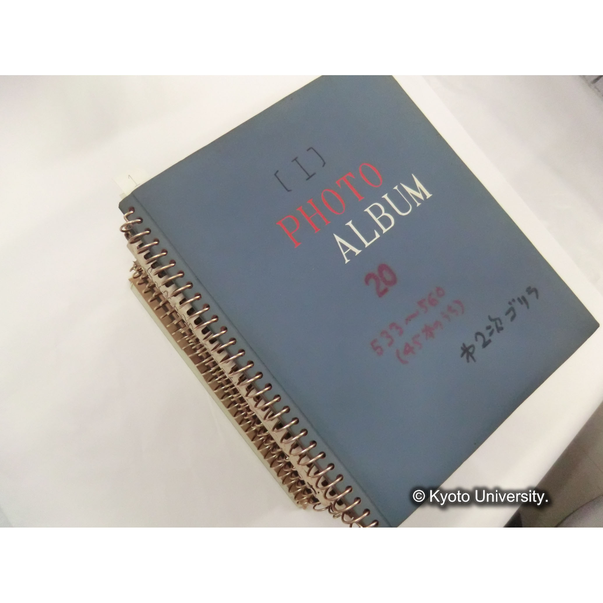 調査写真アルバム (1)