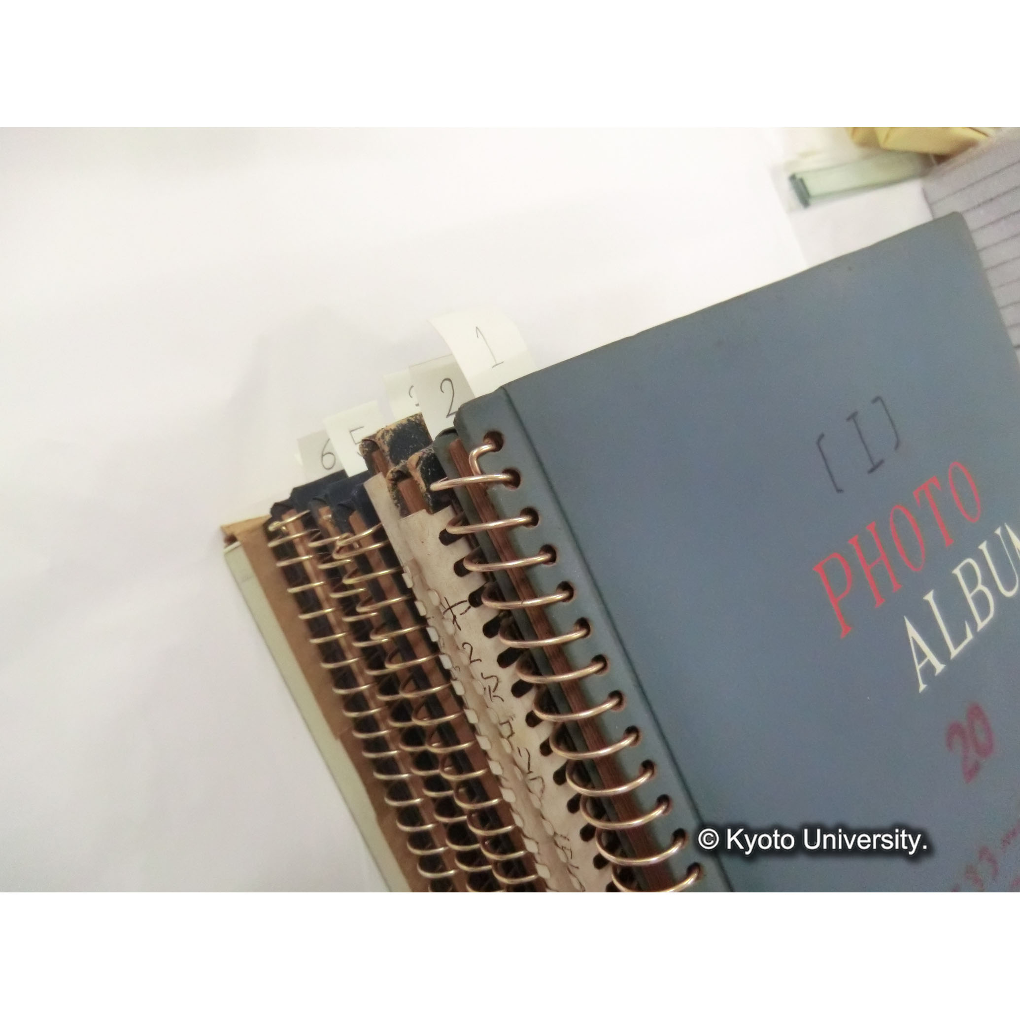 調査写真アルバム (2)