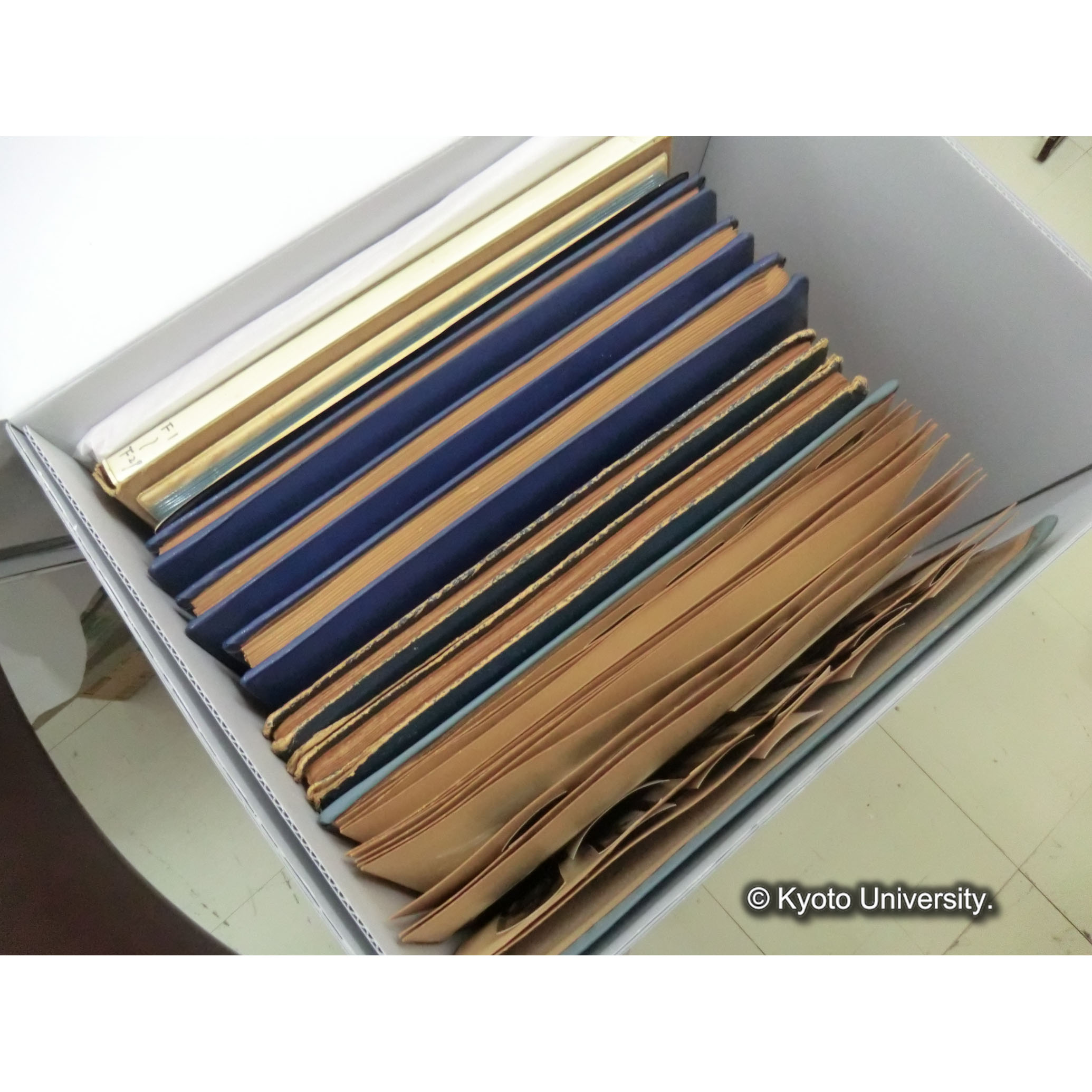 調査写真アルバム (3)