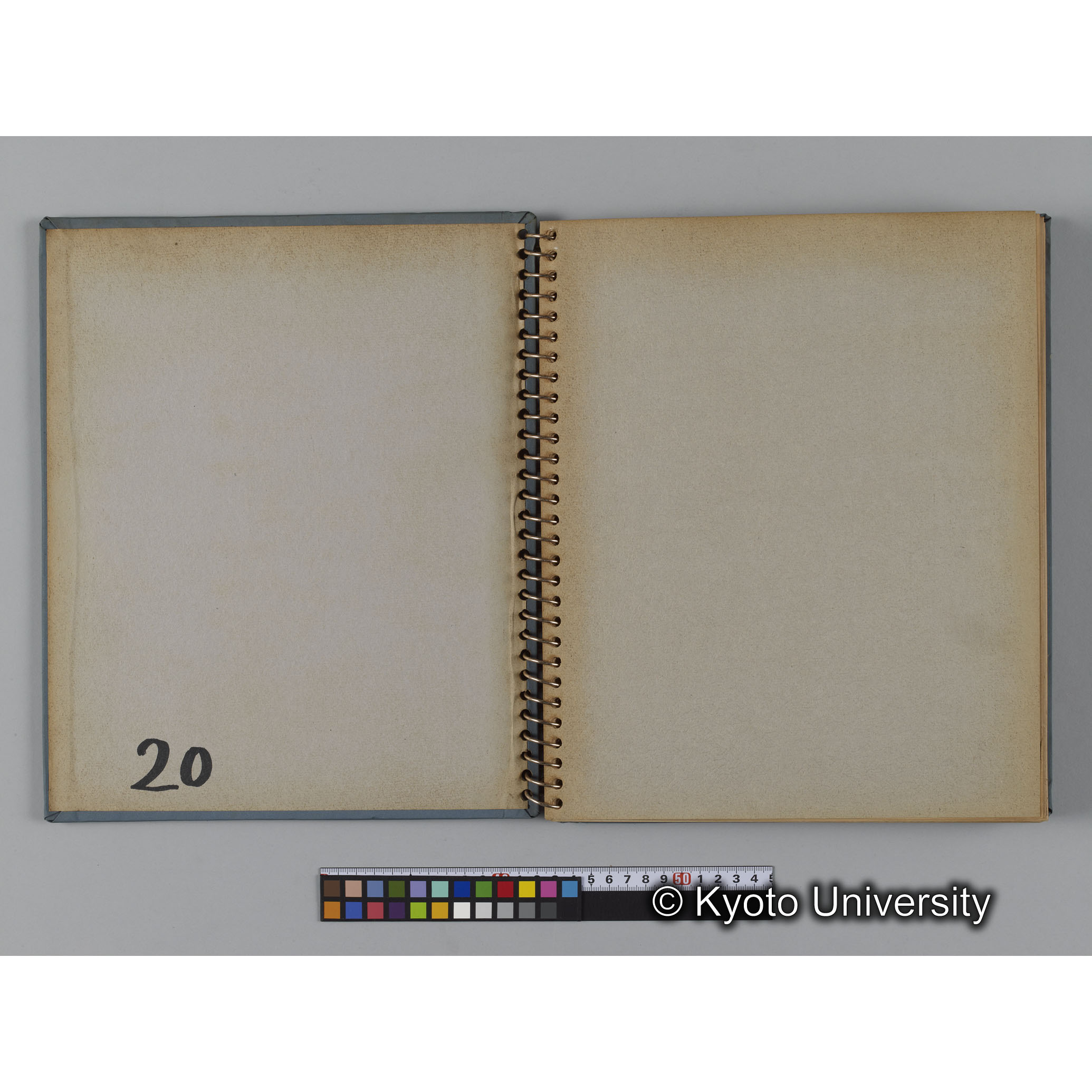 ゴリラ探検写真アルバム１（コンタクトシート533～560対応分） (2)