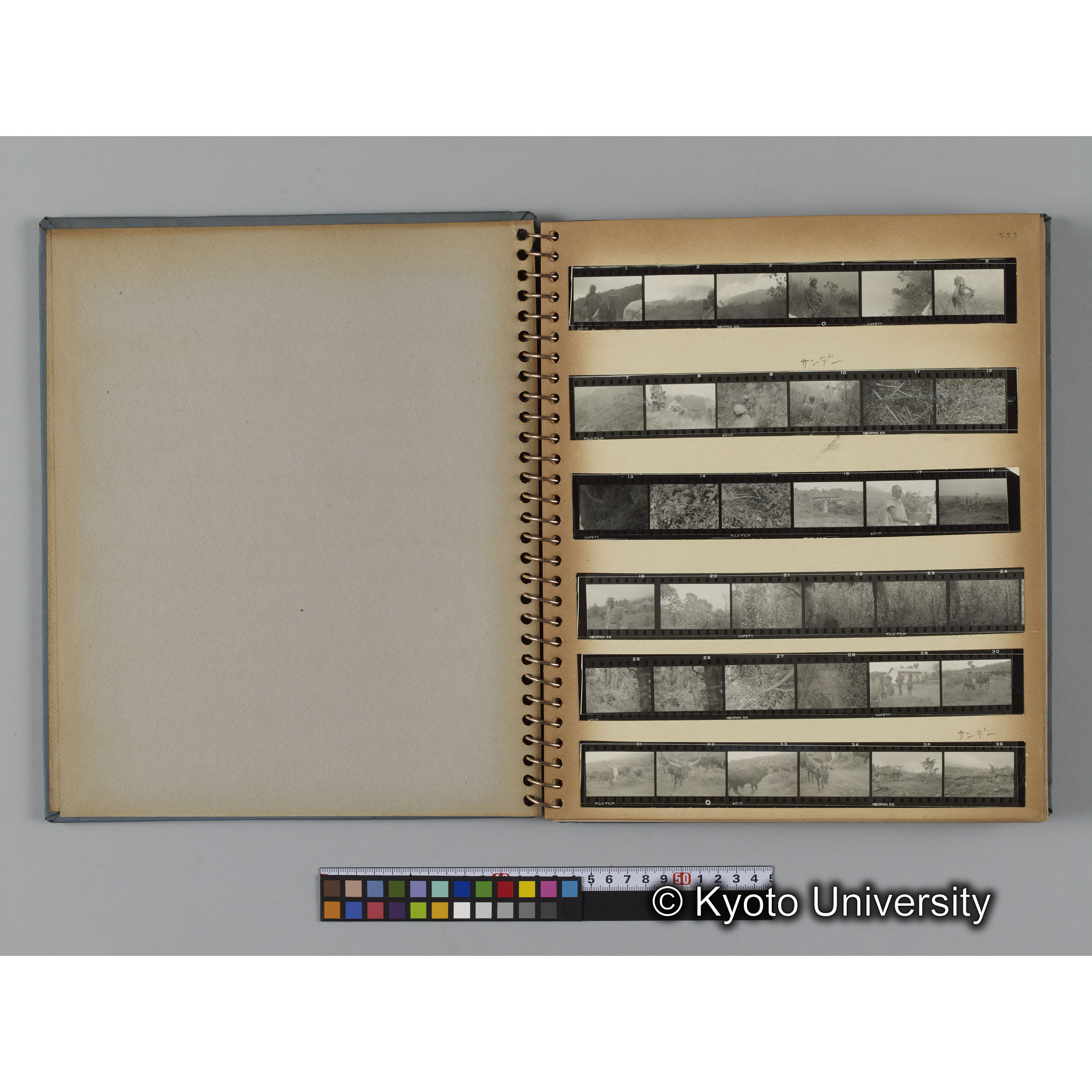 ゴリラ探検写真アルバム１（コンタクトシート533～560対応分） (3)