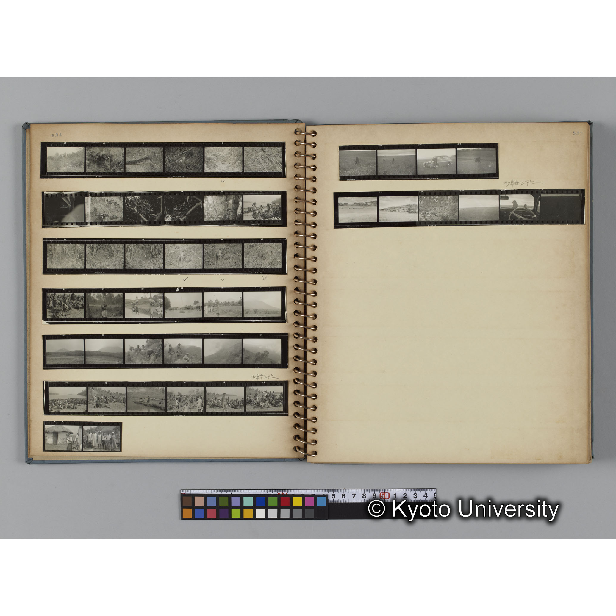 ゴリラ探検写真アルバム１（コンタクトシート533～560対応分） (4)