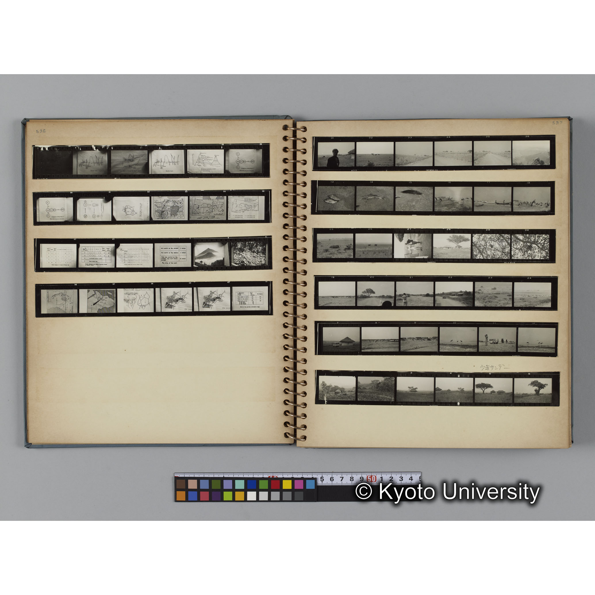 ゴリラ探検写真アルバム１（コンタクトシート533～560対応分） (5)