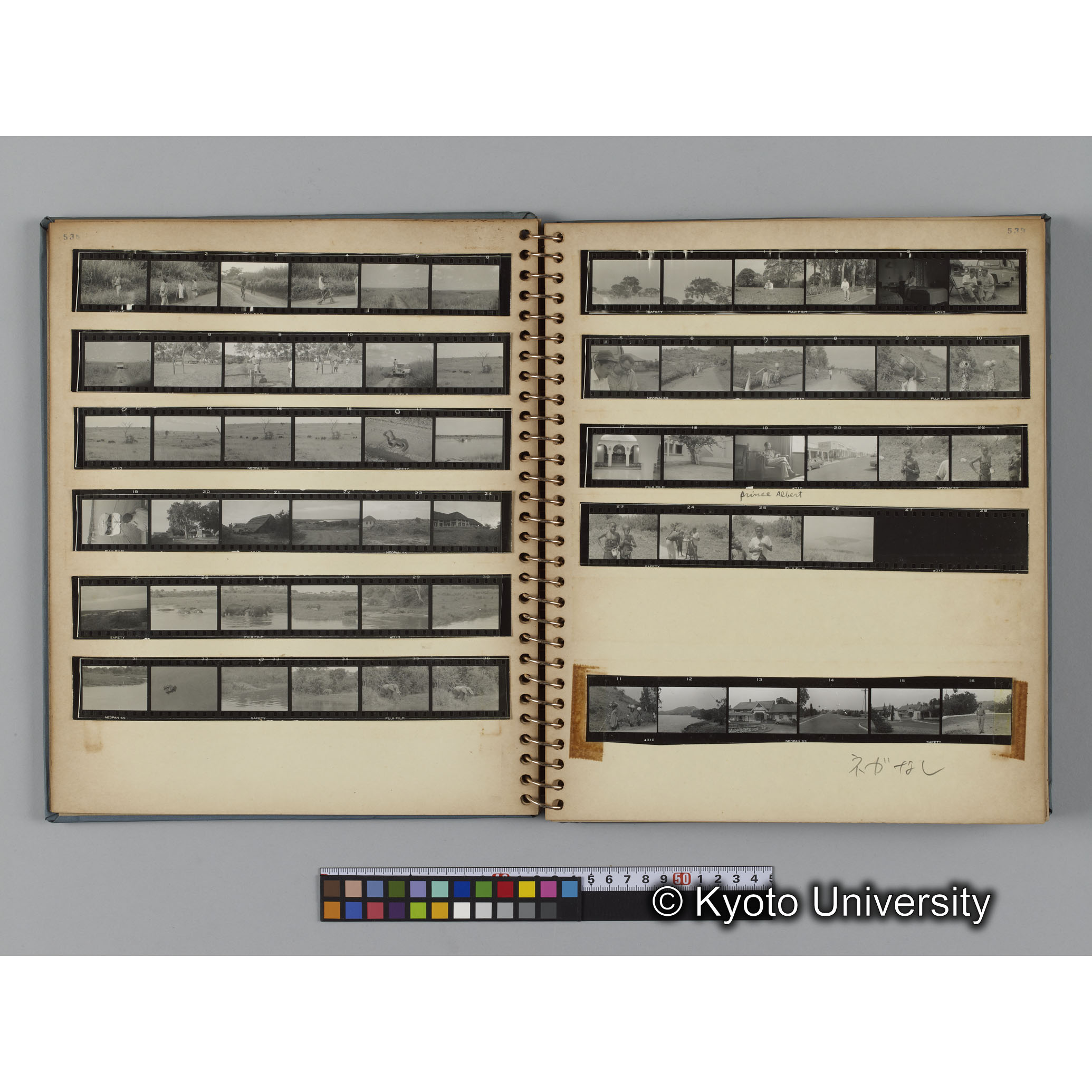 ゴリラ探検写真アルバム１（コンタクトシート533～560対応分） (6)