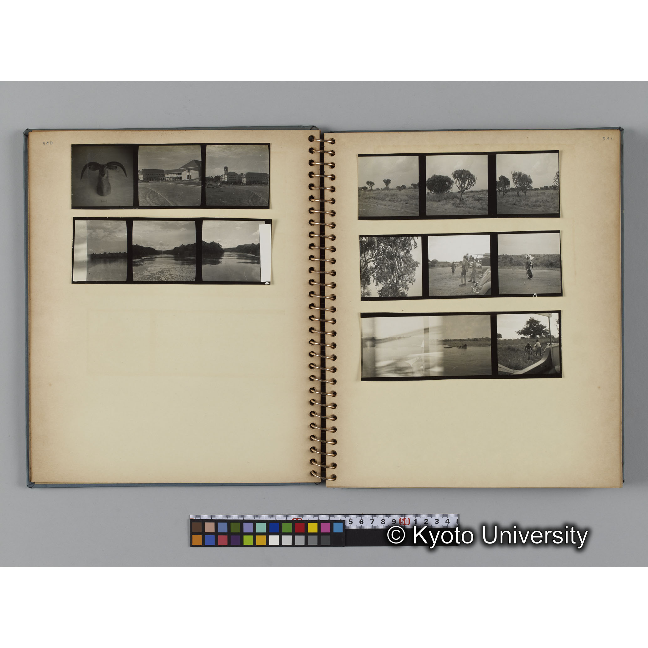 ゴリラ探検写真アルバム１（コンタクトシート533～560対応分） (7)