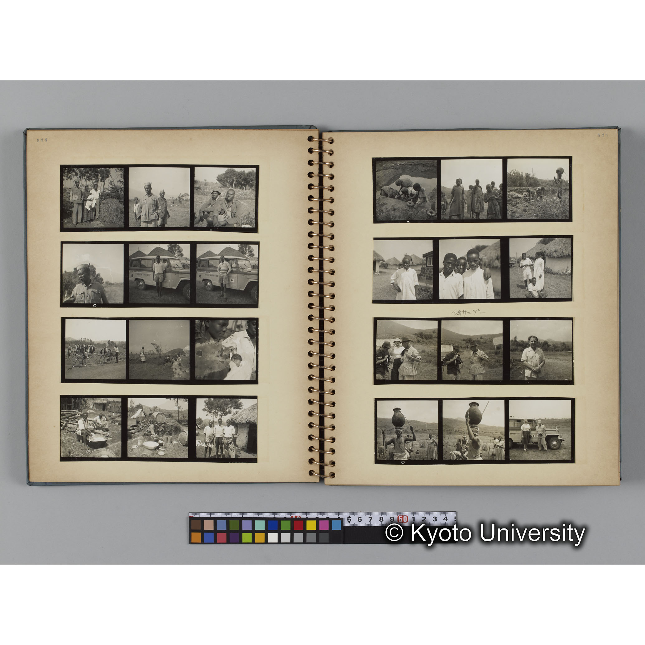 ゴリラ探検写真アルバム１（コンタクトシート533～560対応分） (9)