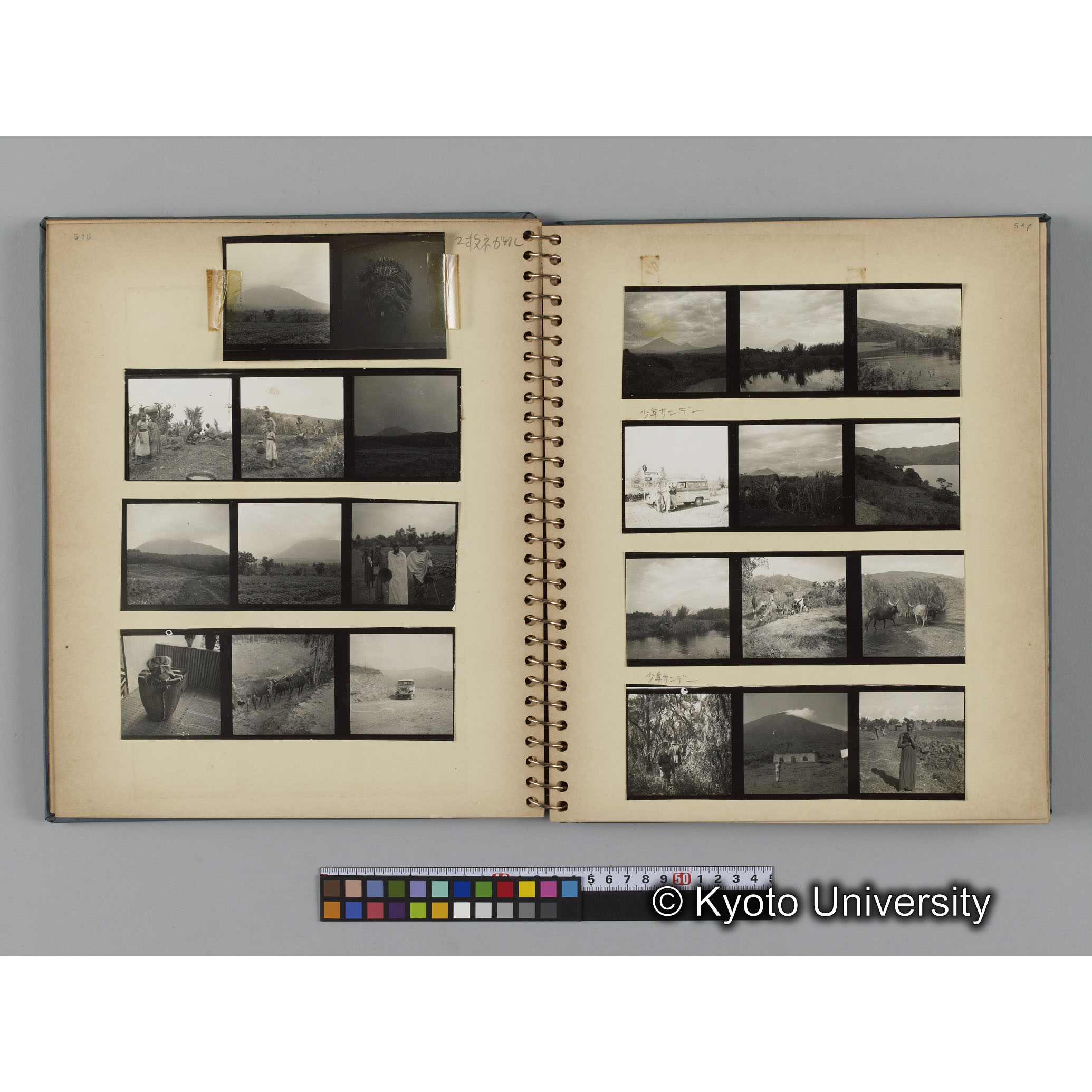 ゴリラ探検写真アルバム１（コンタクトシート533～560対応分） (10)