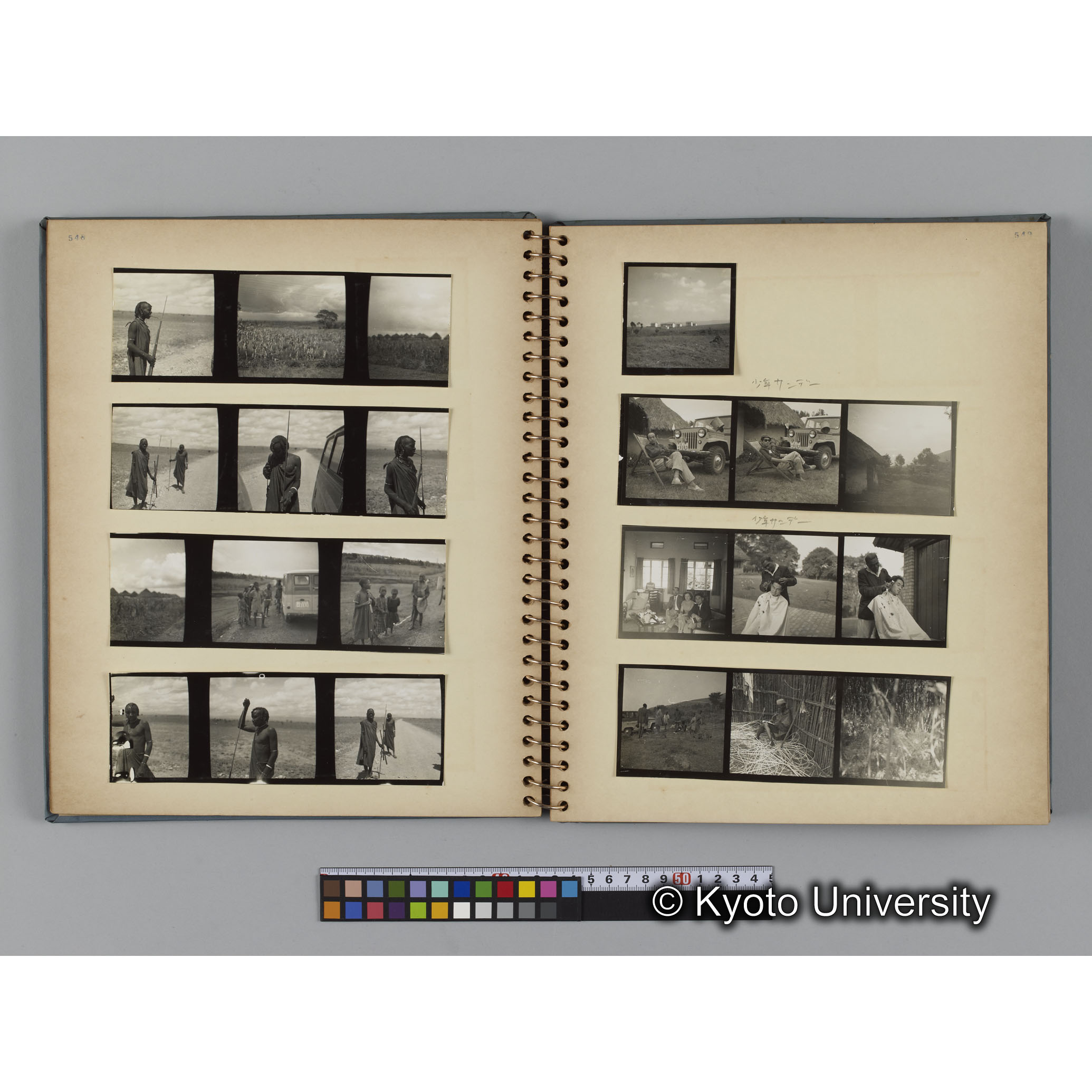 ゴリラ探検写真アルバム１（コンタクトシート533～560対応分） (11)