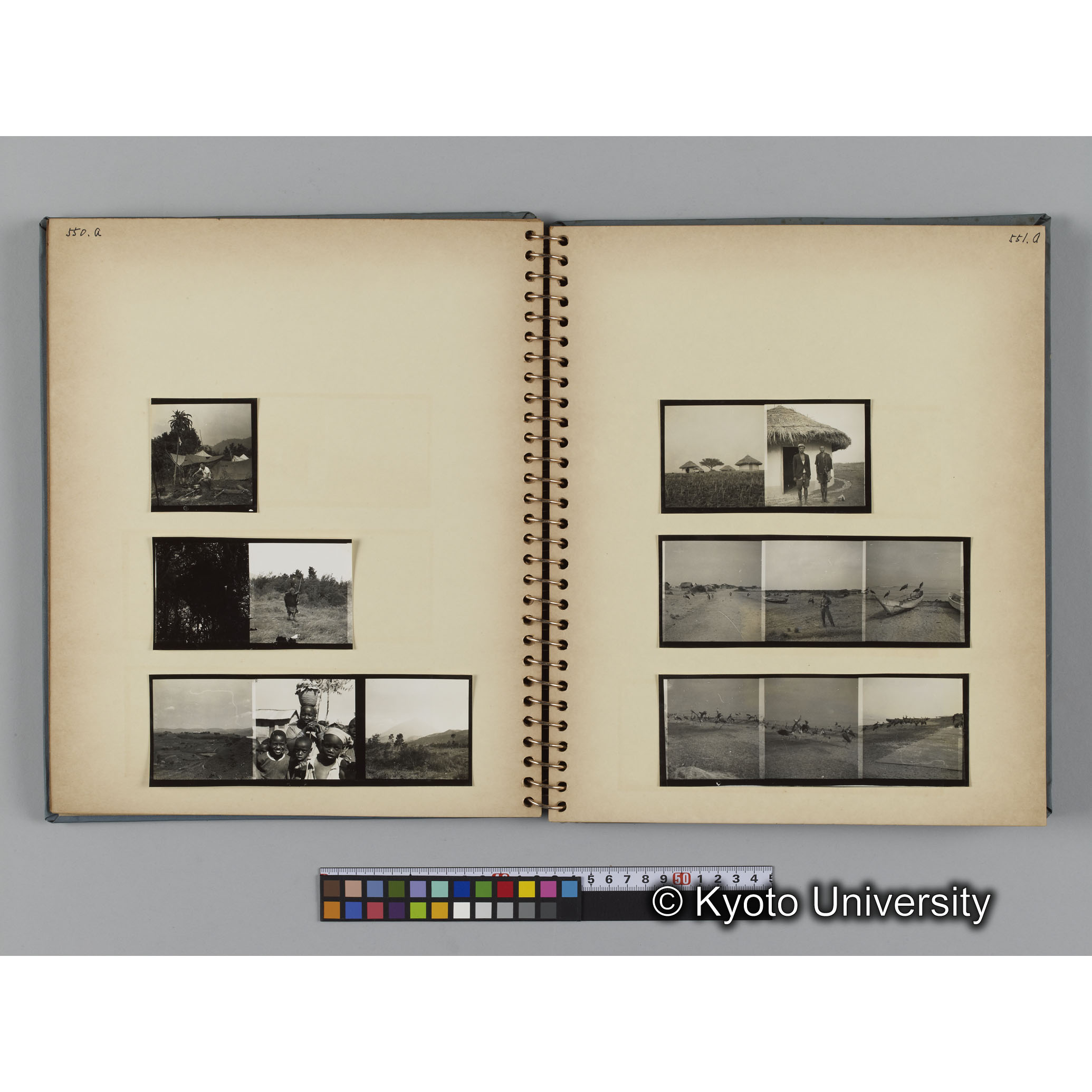 ゴリラ探検写真アルバム１（コンタクトシート533～560対応分） (12)