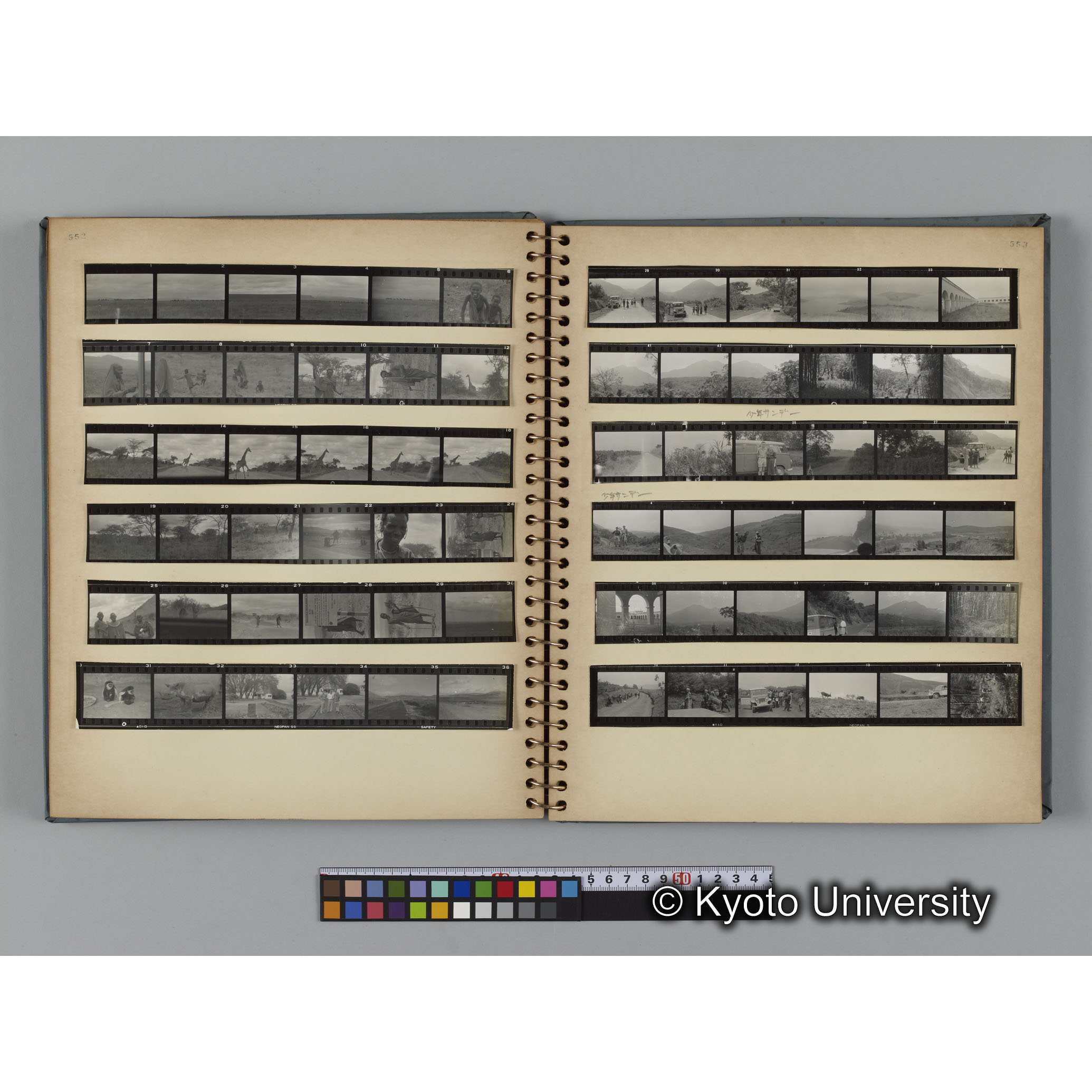 ゴリラ探検写真アルバム１（コンタクトシート533～560対応分） (14)