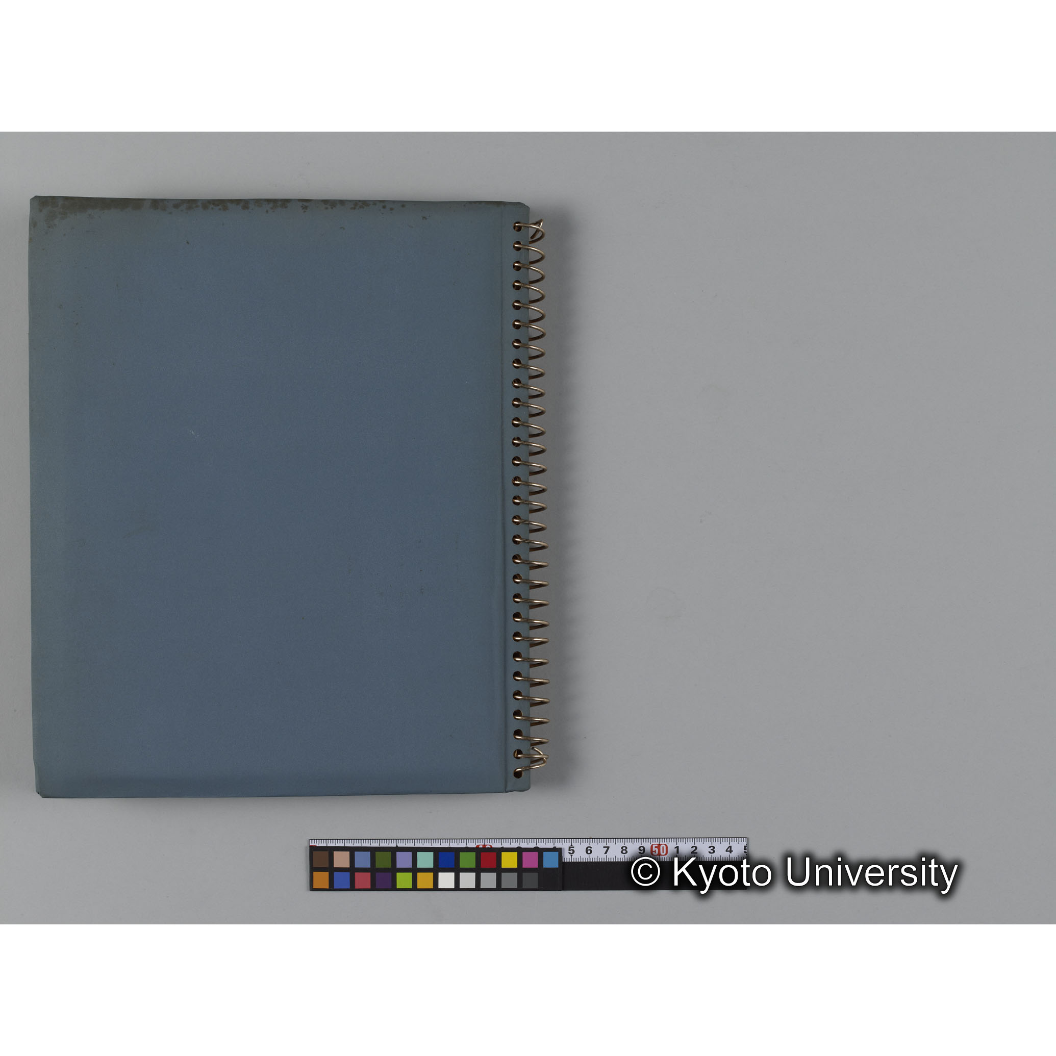 ゴリラ探検写真アルバム１（コンタクトシート533～560対応分） (19)