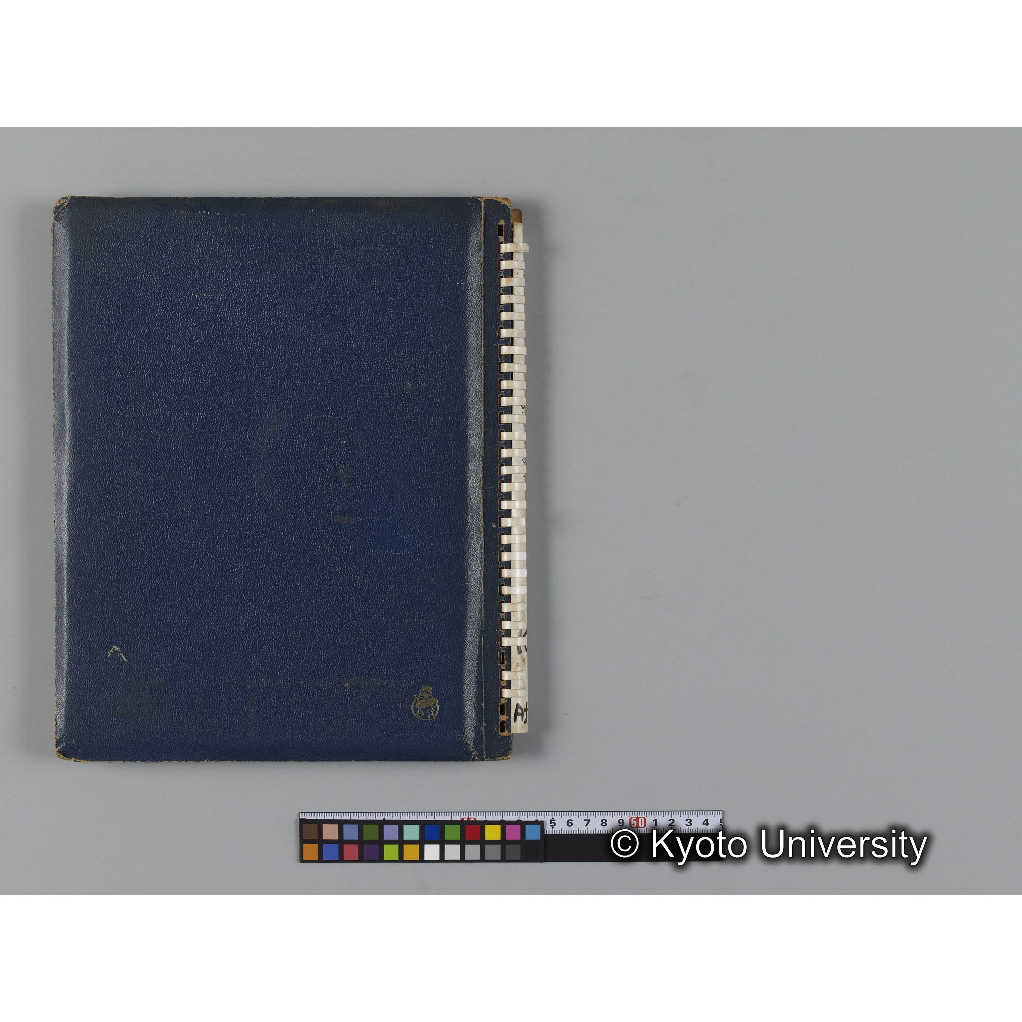 ゴリラ探検写真アルバム２（コンタクトシート651～661対応分） (1)