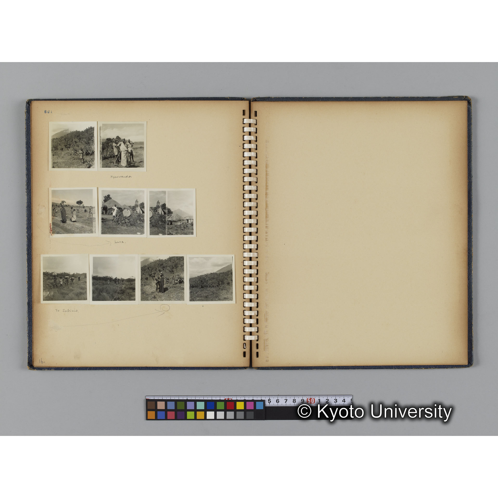 ゴリラ探検写真アルバム２（コンタクトシート651～661対応分） (2)