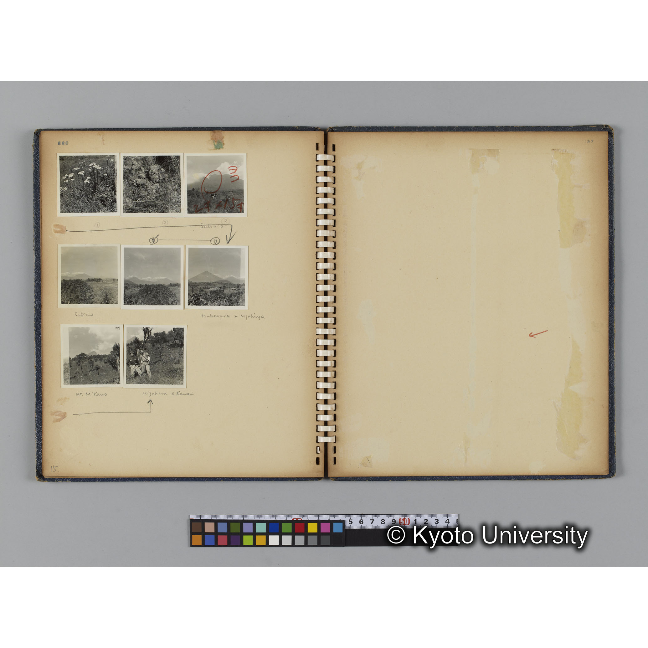 ゴリラ探検写真アルバム２（コンタクトシート651～661対応分） (3)