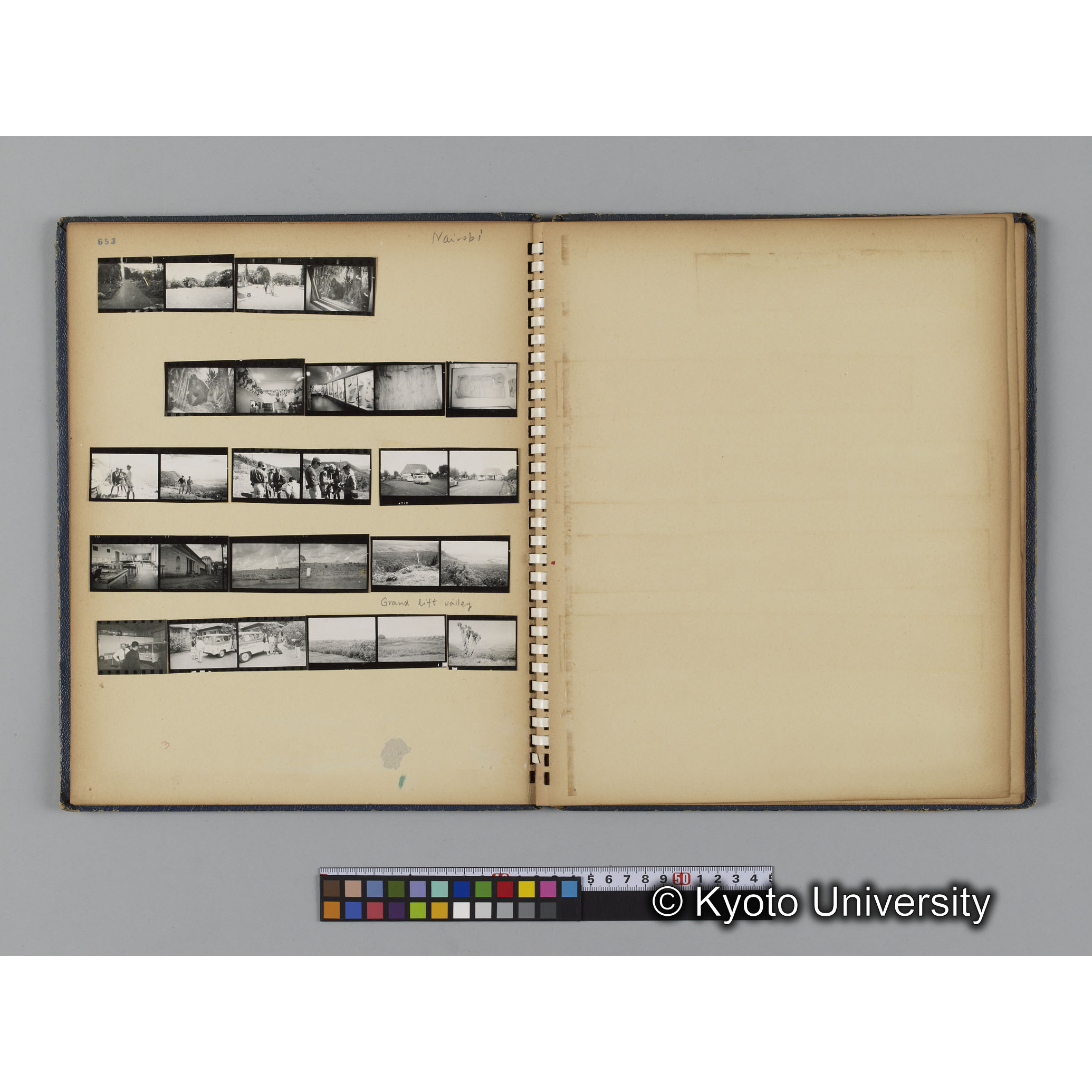 ゴリラ探検写真アルバム２（コンタクトシート651～661対応分） (10)