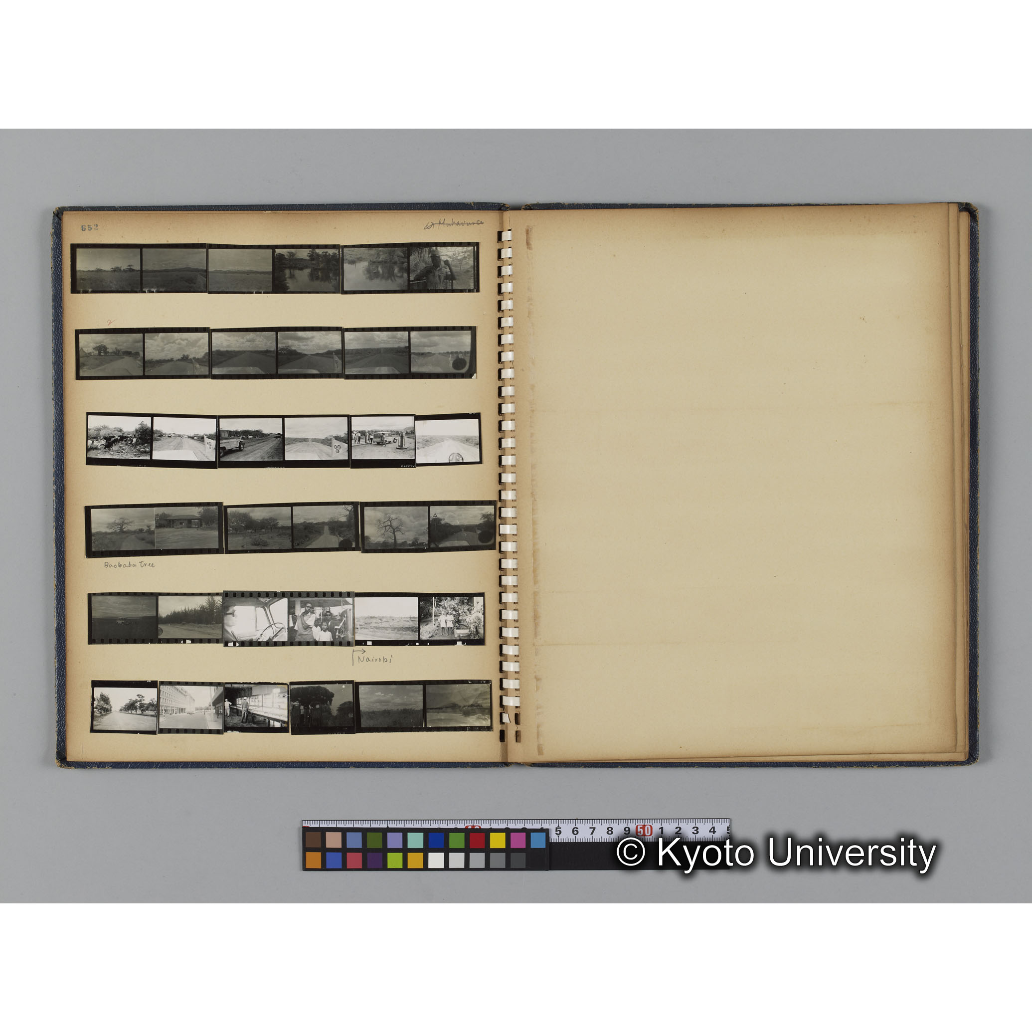 ゴリラ探検写真アルバム２（コンタクトシート651～661対応分） (11)