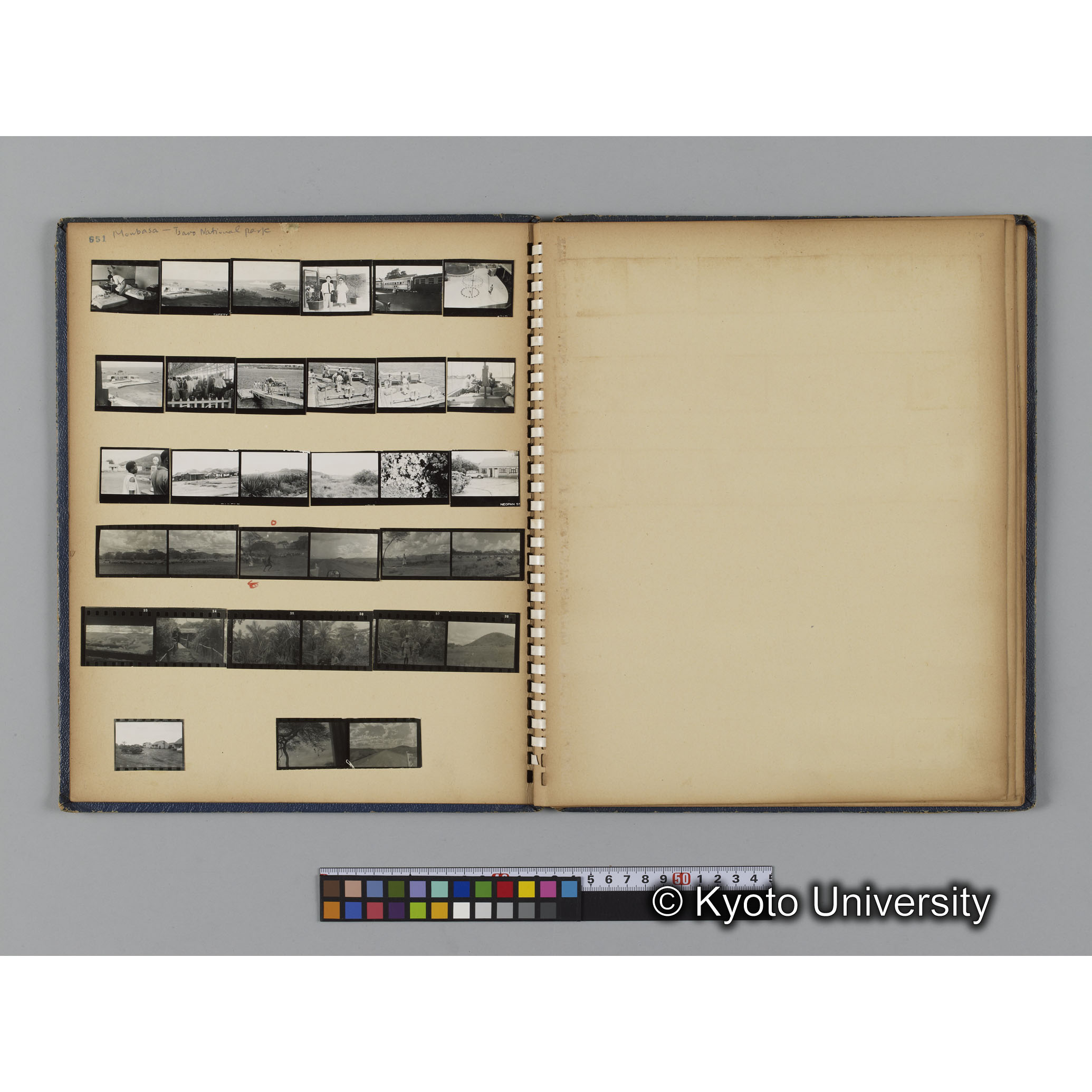 ゴリラ探検写真アルバム２（コンタクトシート651～661対応分） (12)