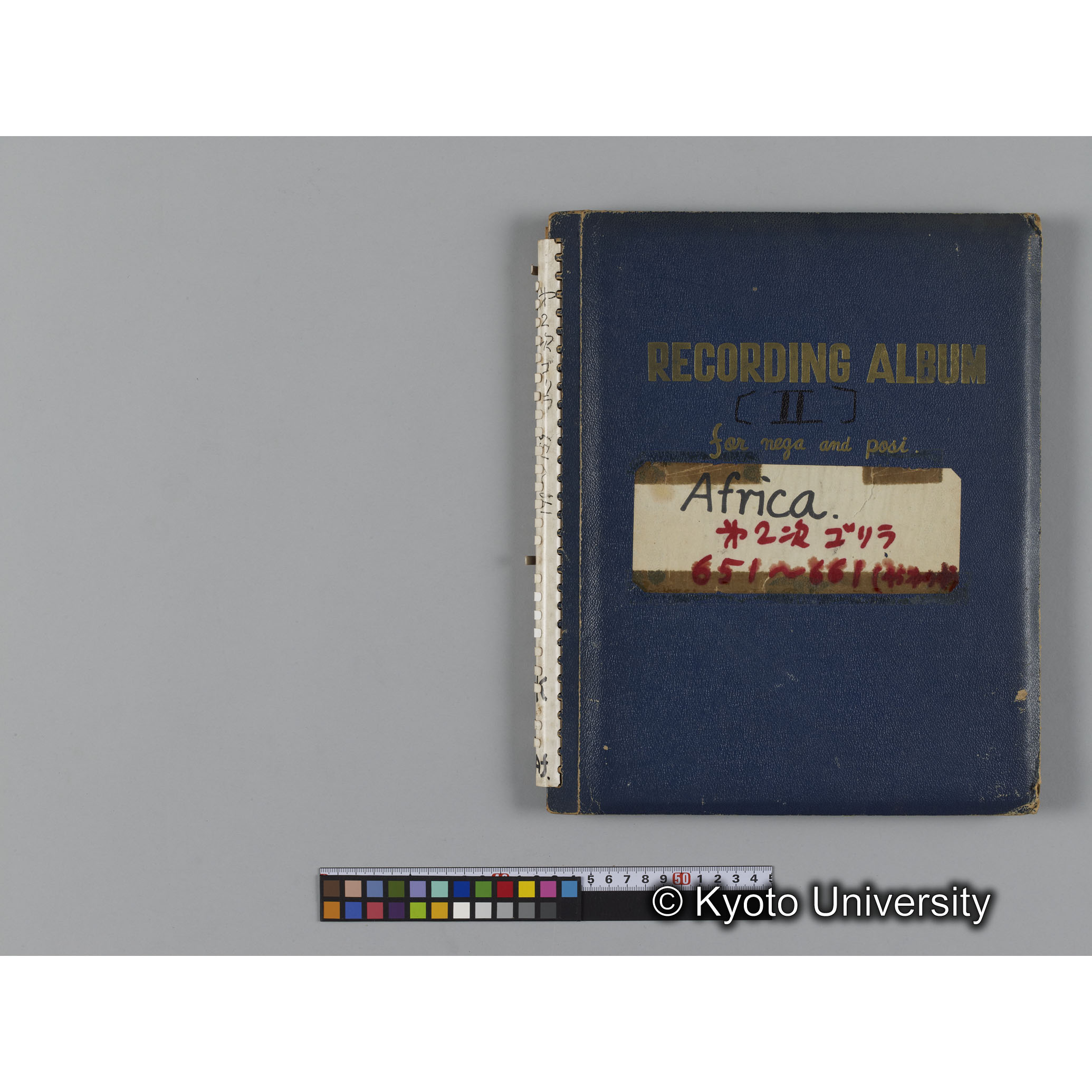 ゴリラ探検写真アルバム２（コンタクトシート651～661対応分） (14)