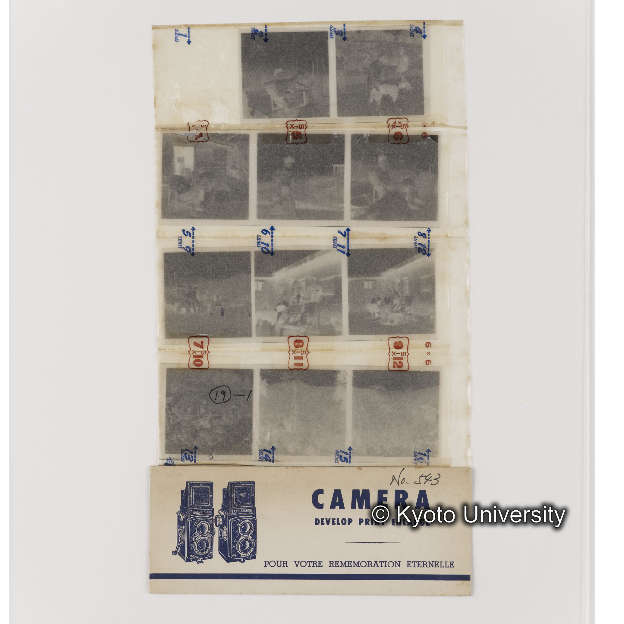 [ネガフィルムスリーブ11]「５４３」 (1)