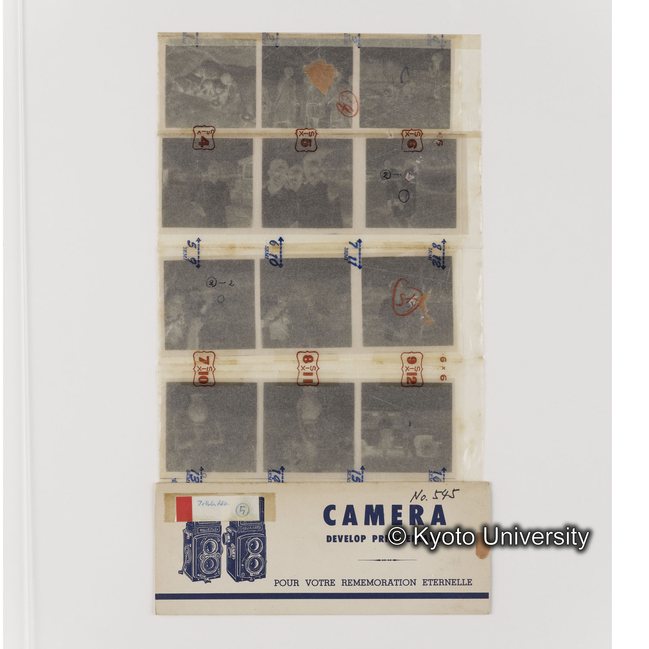 [ネガフィルムスリーブ13]「５４５」 (1)