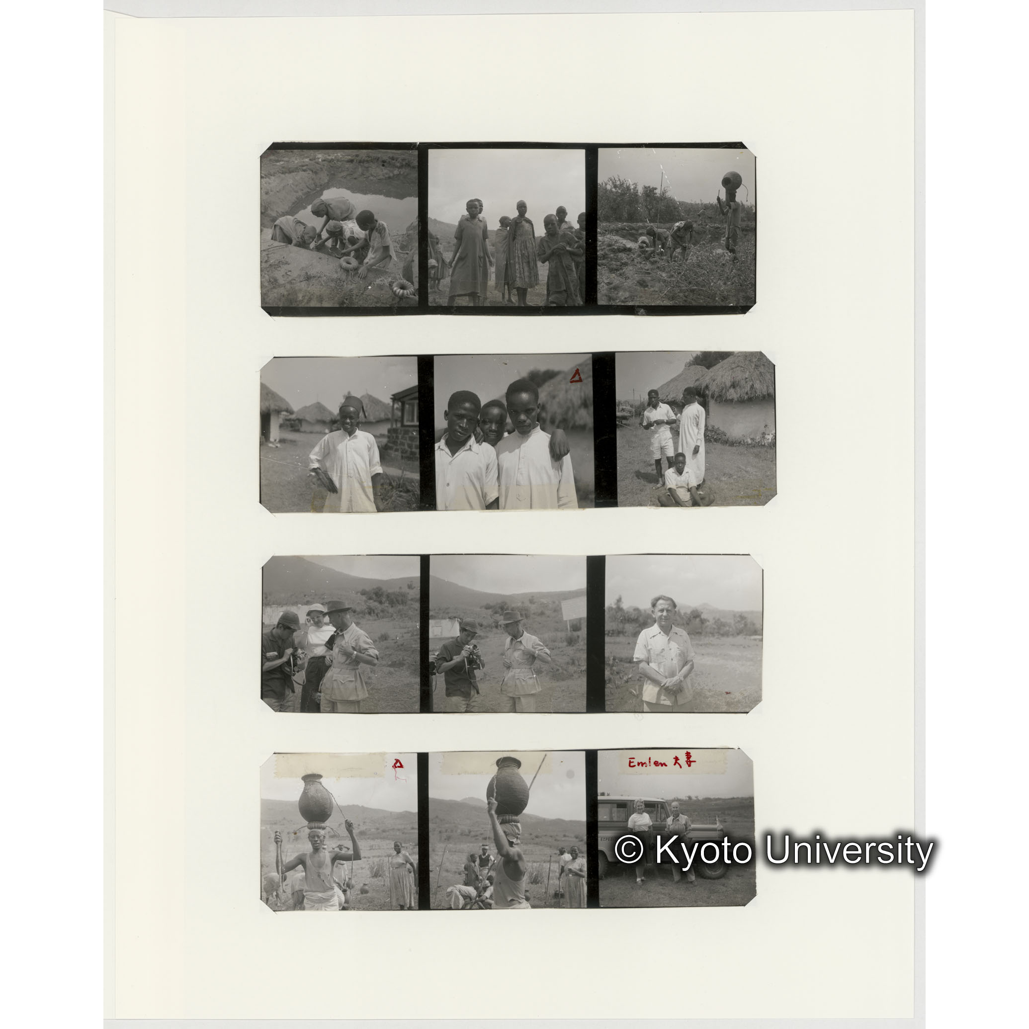 [ネガフィルムスリーブ13]「５４５」 (2)