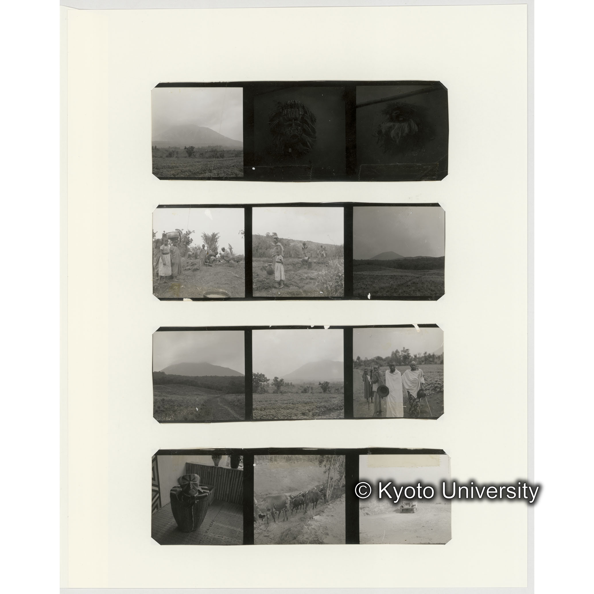 [ネガフィルムスリーブ14]「５４６」 (2)