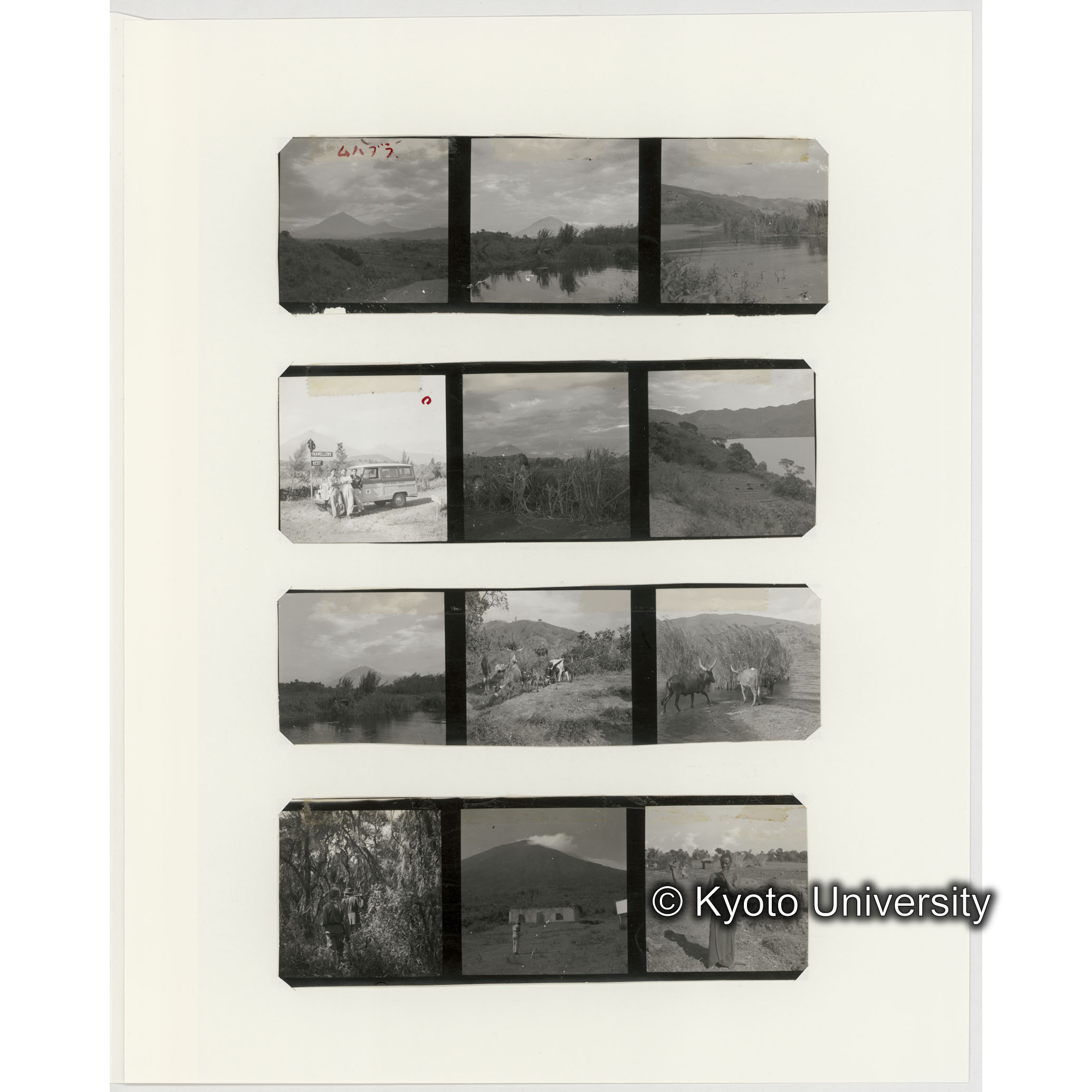 [ネガフィルムスリーブ15]「５４７」 (2)