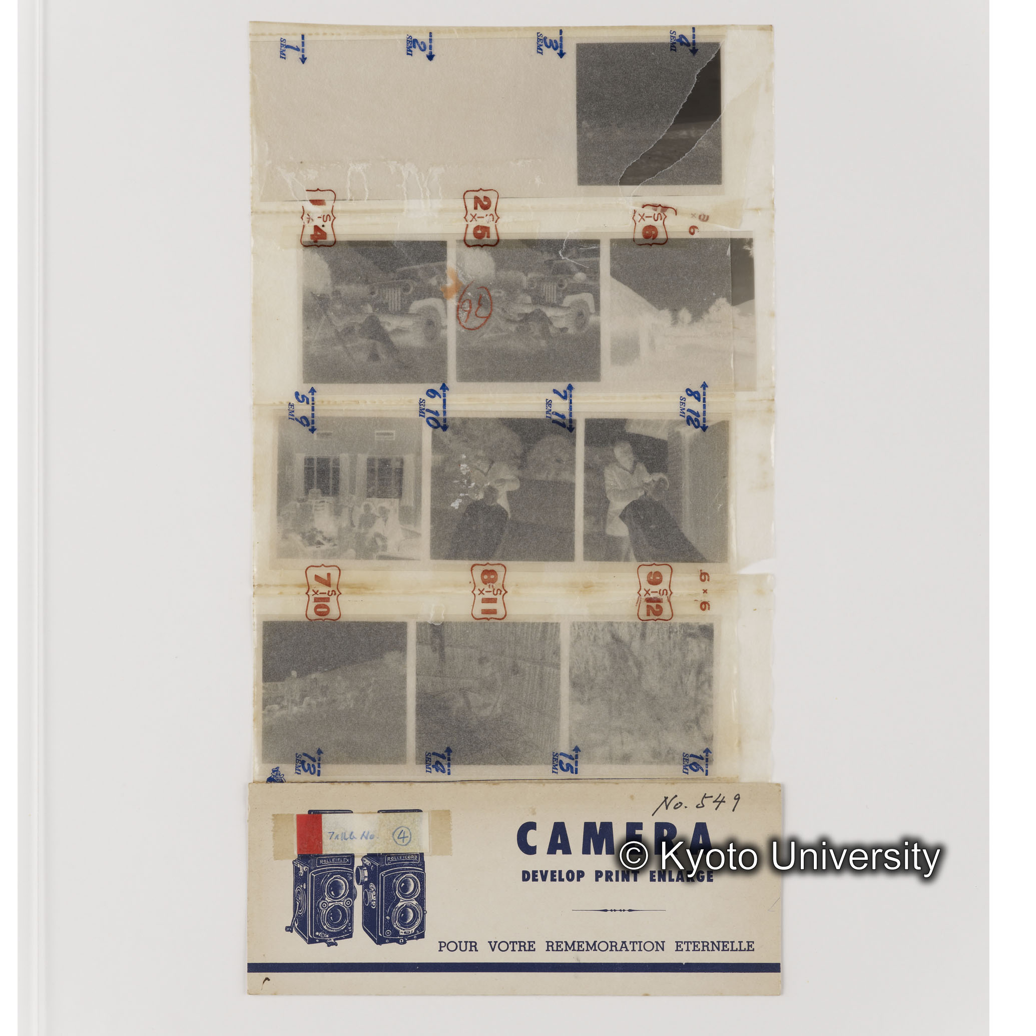 [ネガフィルムスリーブ17]「５４９」 (1)